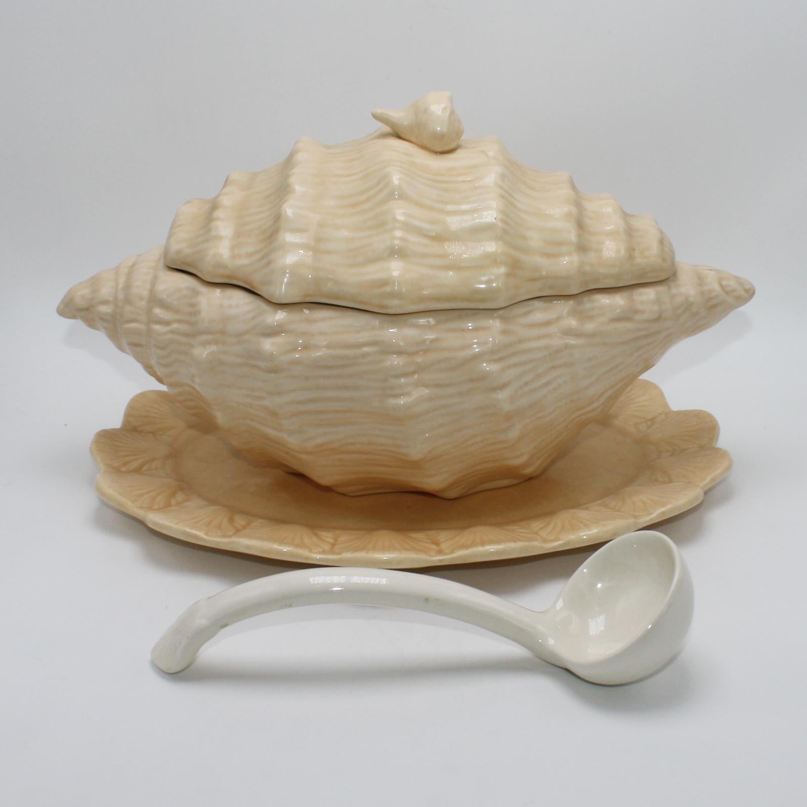 large ceramic shell