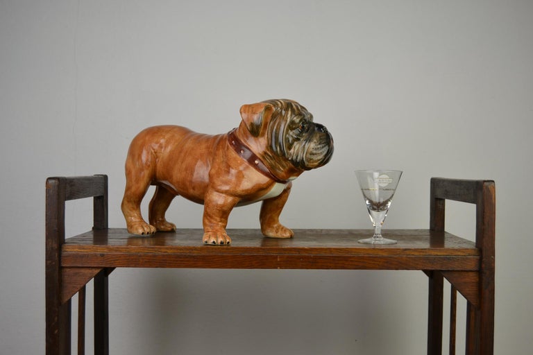 English Bulldog Puppy Glass Eyes Statue Adorable Bully Wrinkles Red Wh –  BOTEGA EXCLUSIVE