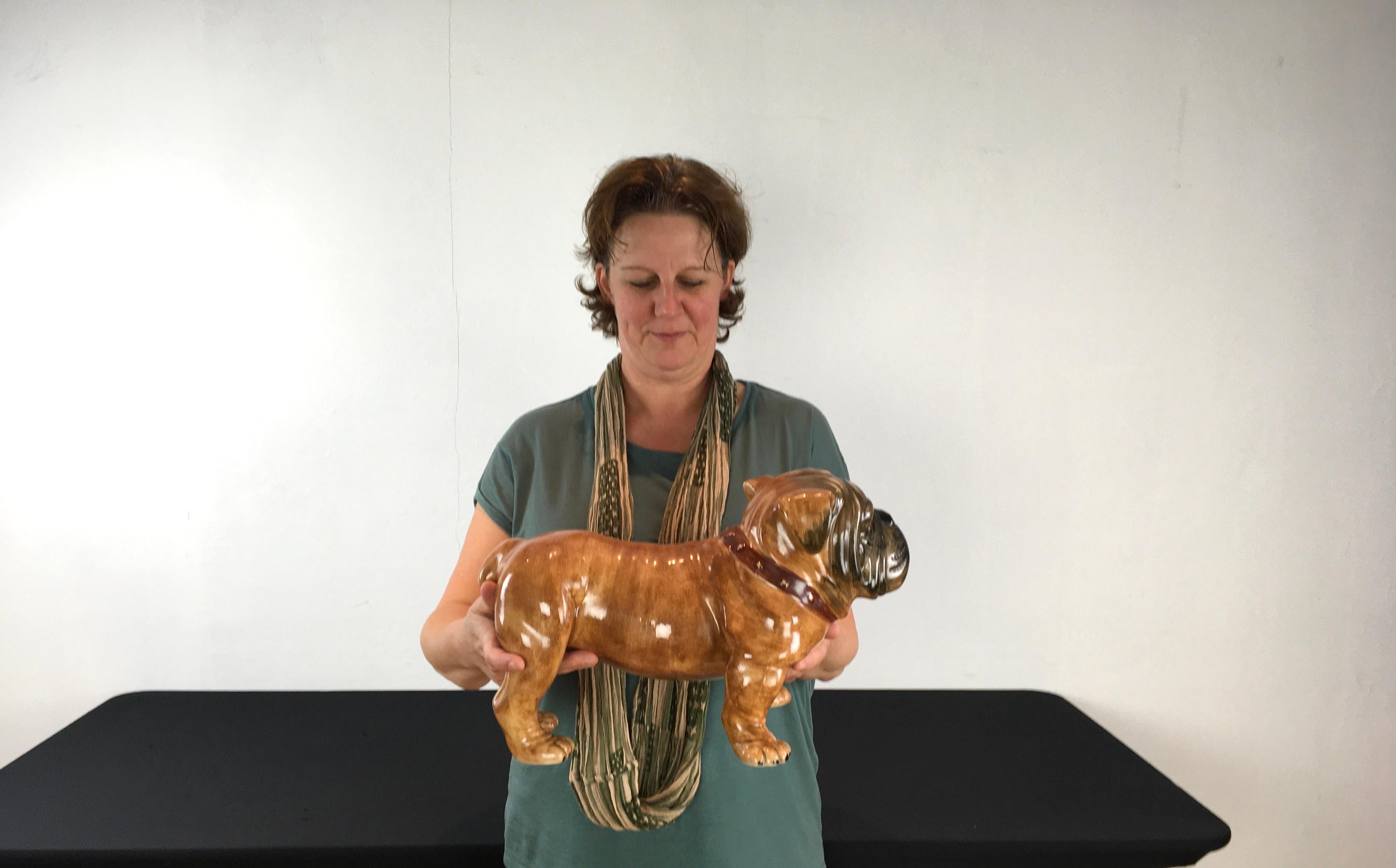 Italian Large English Bulldog Sculpture in Ceramic, Italy