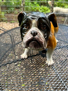 Large Ceramic Painted Bulldog Sculpture