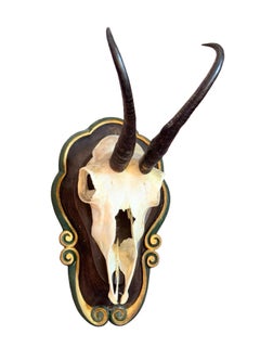 Gran Trofeo de Montura de Gamuza sobre Placa Tallada en Madera, Austria, años 20 o anteriores