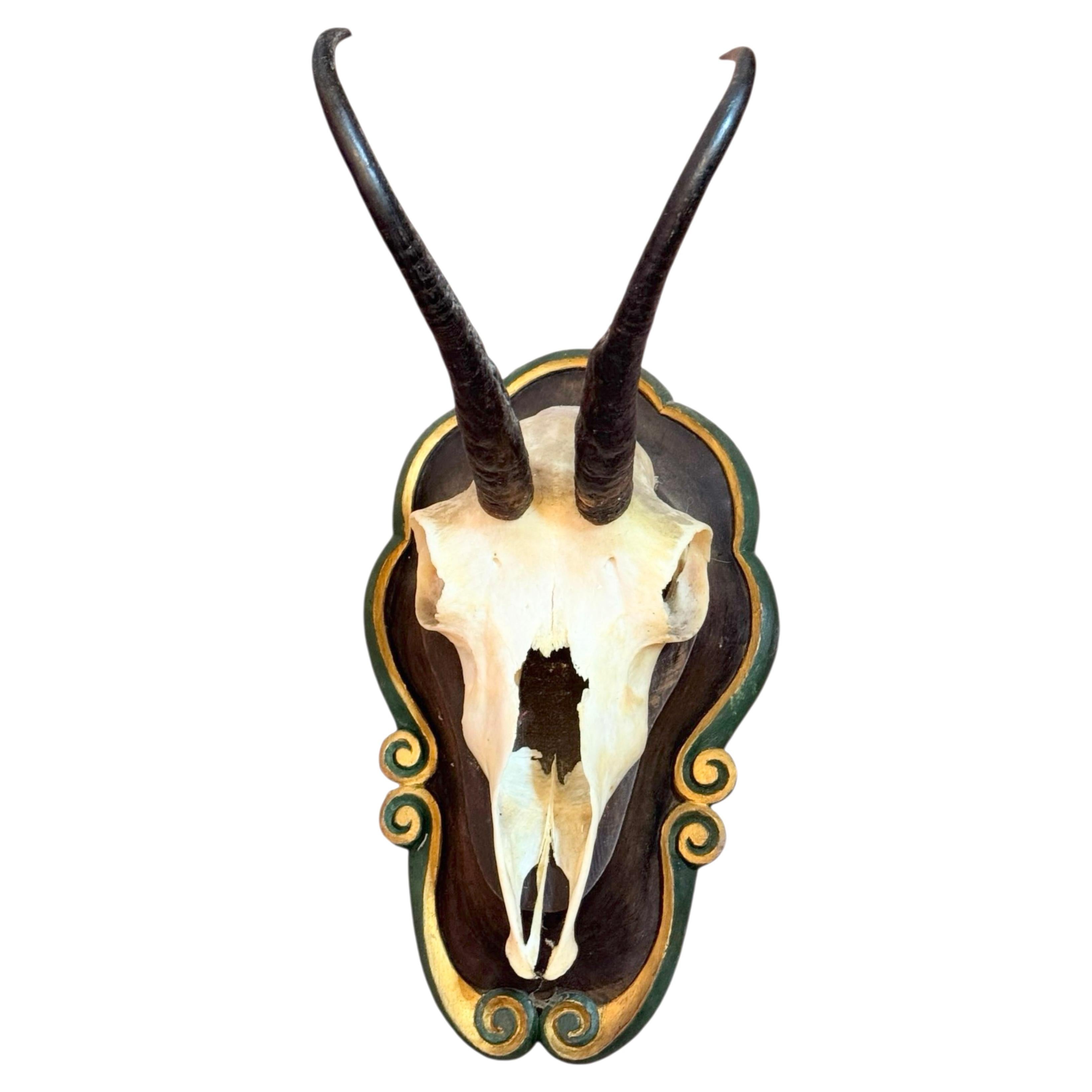 large Chamois Mount Trophy on Wood Carved Plaque, Austria, 1920s or earlier