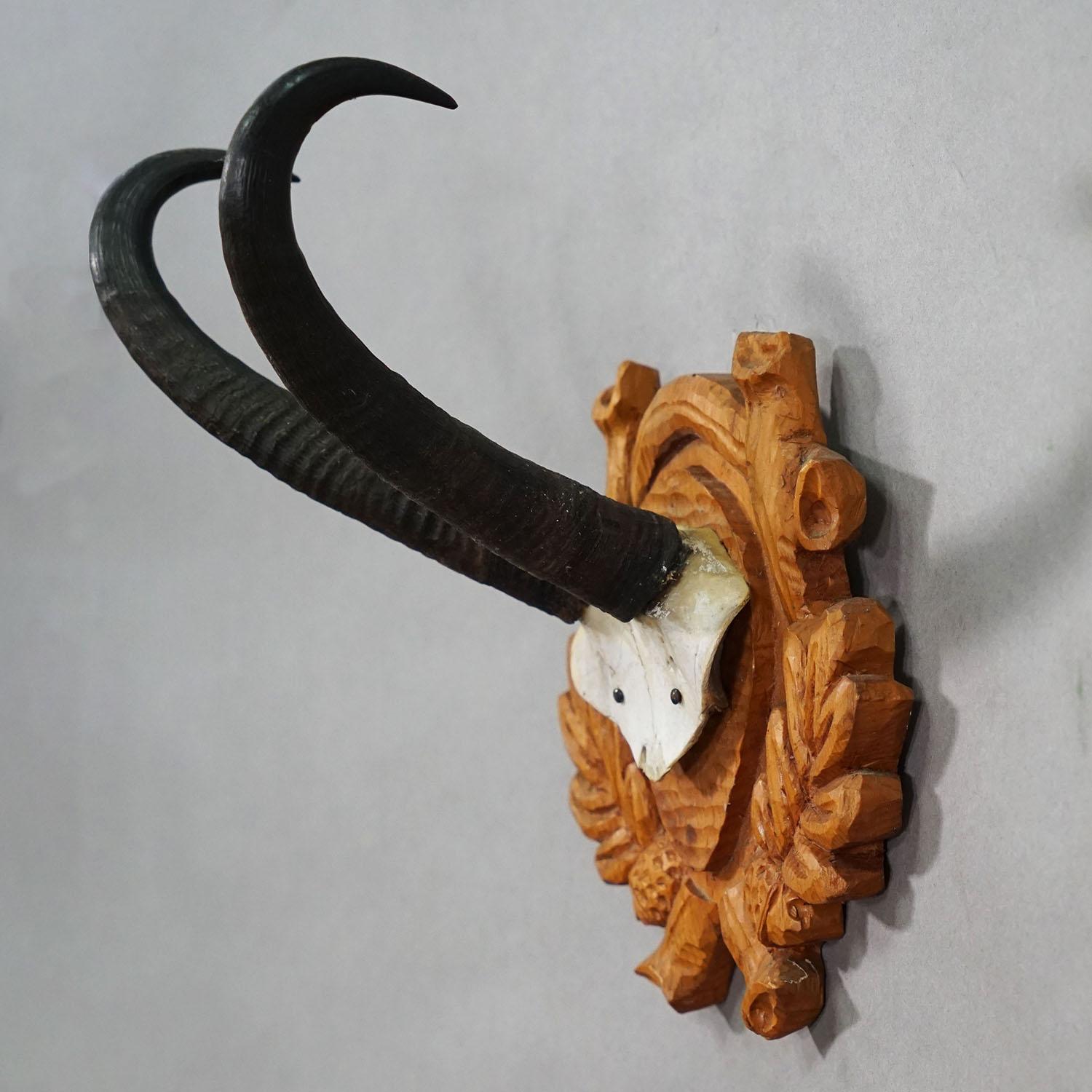 Forêt-Noire Grand trophée de chamois sur plaque sculptée, Autriche, années 1940 en vente