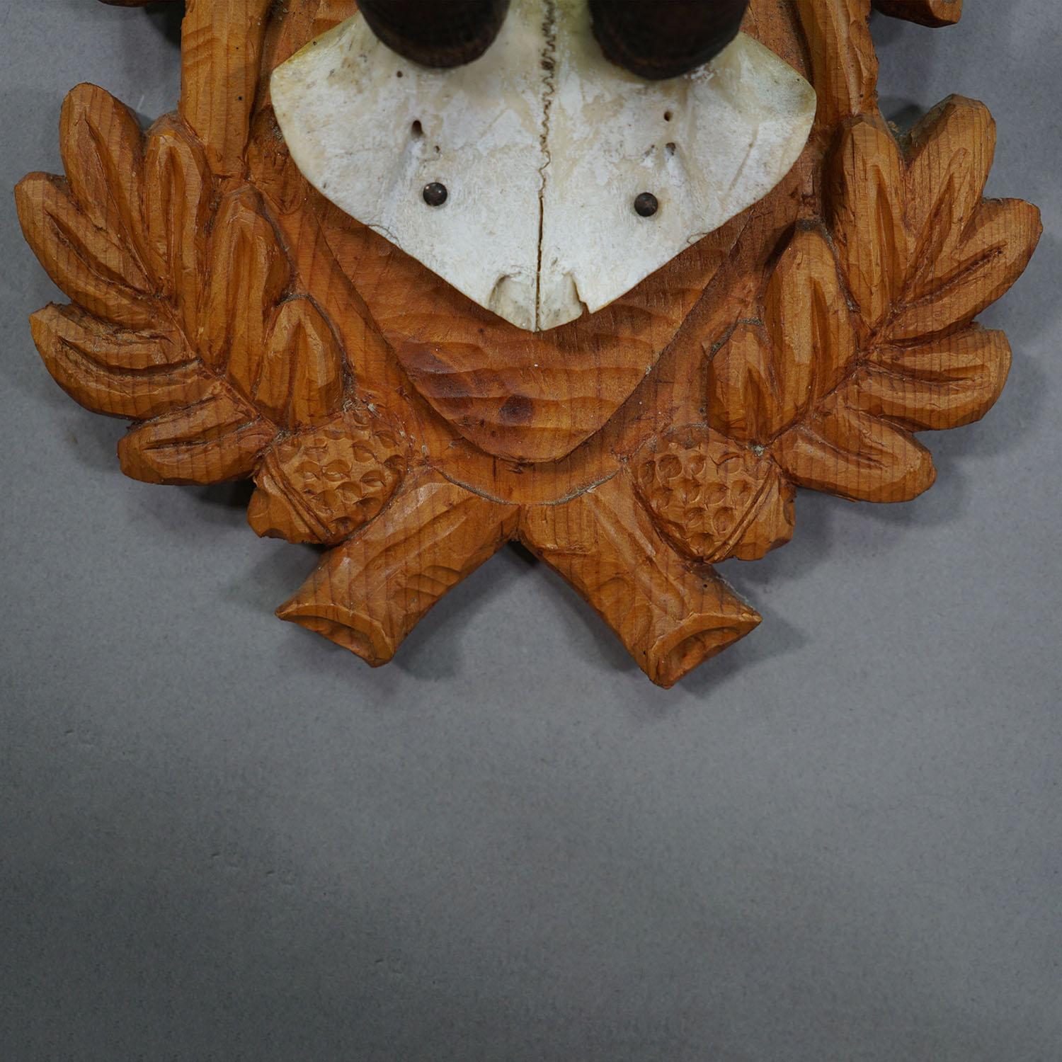 Grand trophée de chamois sur plaque sculptée, Autriche, années 1940 Bon état - En vente à Berghuelen, DE