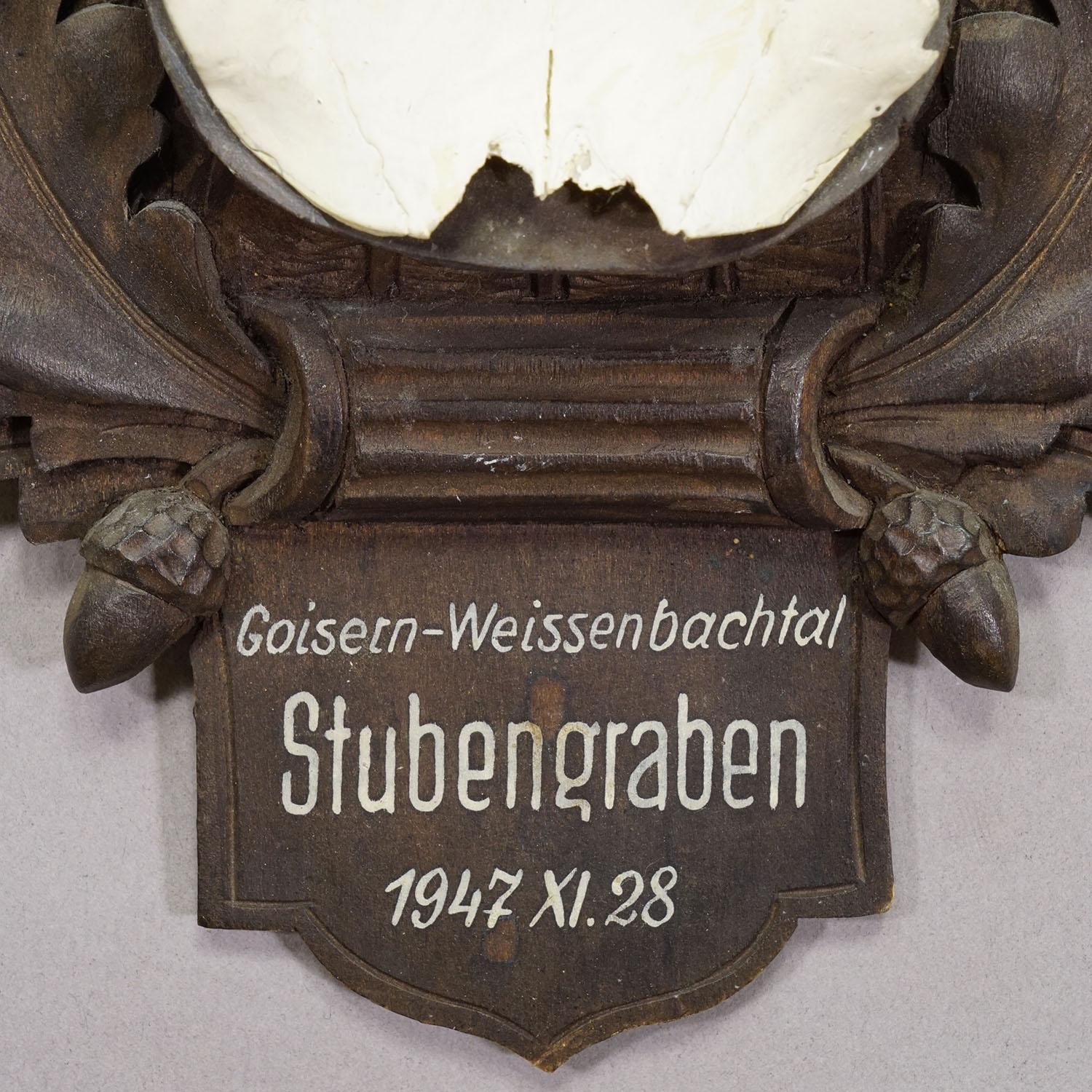 Große Chamois-Trophäe auf geschnitzter Plakette, Österreich 1947 (Deutsch) im Angebot