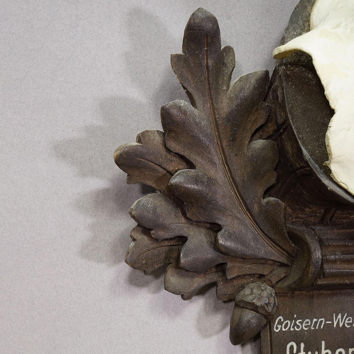 Große Chamois-Trophäe auf geschnitzter Plakette, Österreich 1947 im Zustand „Gut“ im Angebot in Berghuelen, DE
