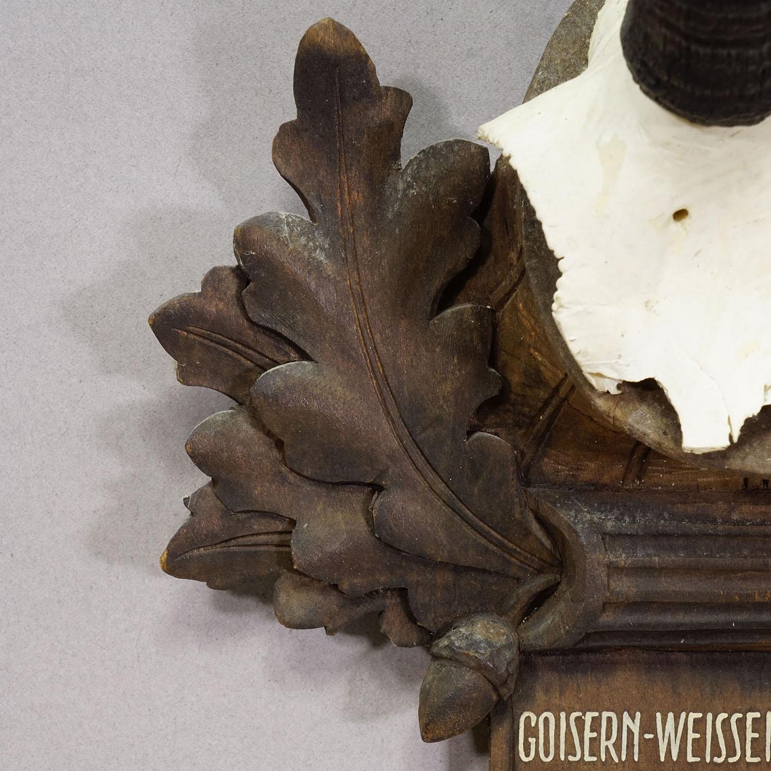 Große Chamois-Trophäe auf geschnitzter Plakette, Österreich 1948 im Zustand „Gut“ im Angebot in Berghuelen, DE