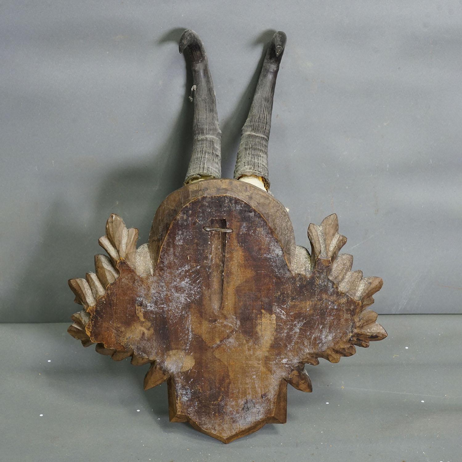 Große Chamois-Trophäe auf geschnitzter Plakette, Österreich 1953 (Geweih) im Angebot