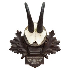 Large Chamois Trophy on Carved Plaque, Austria 1953
