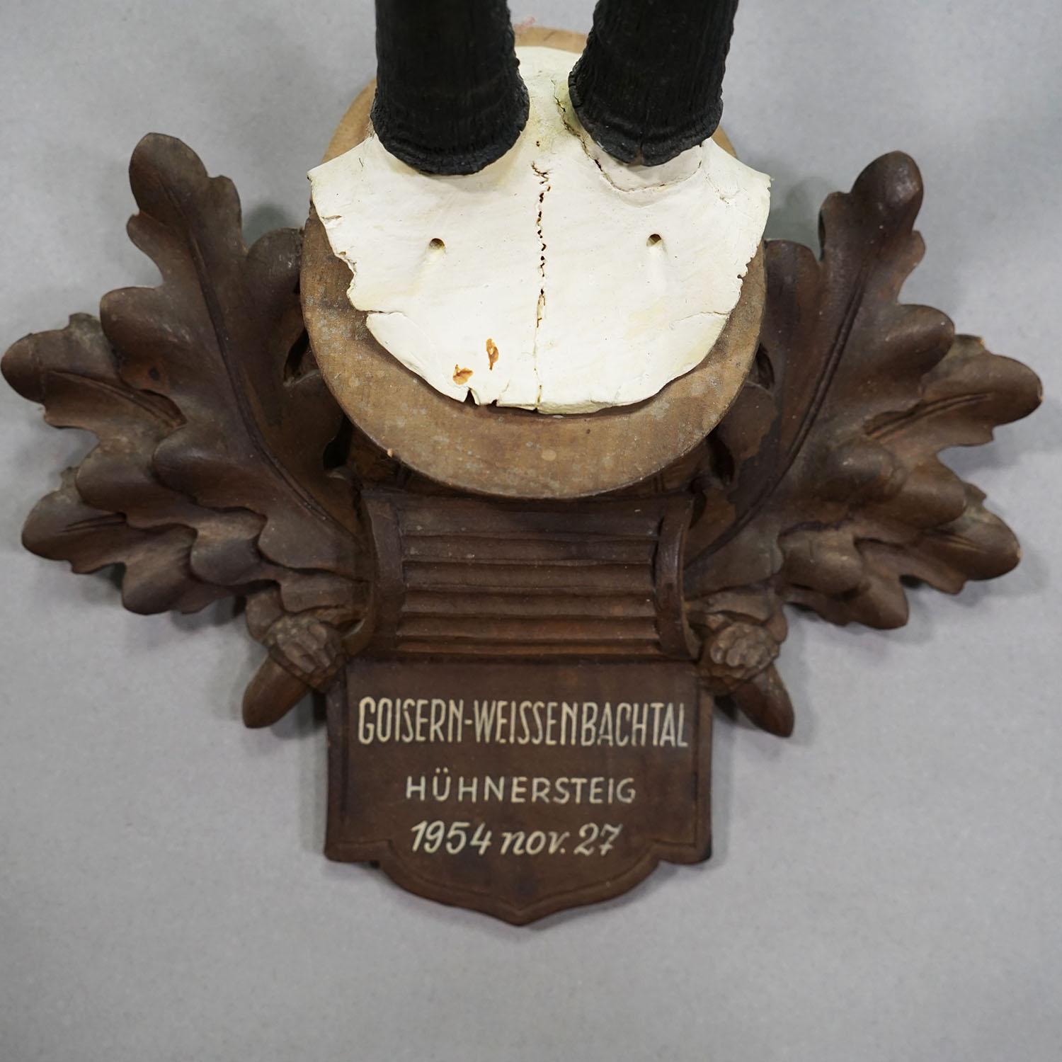 Große Chamois-Trophäe auf geschnitzter Plakette, Österreich 1954 (Österreichisch) im Angebot