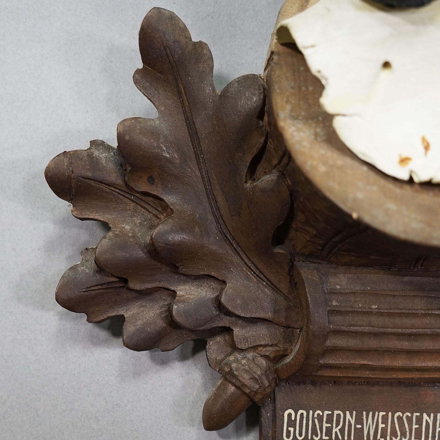 Große Chamois-Trophäe auf geschnitzter Plakette, Österreich 1954 im Zustand „Gut“ im Angebot in Berghuelen, DE
