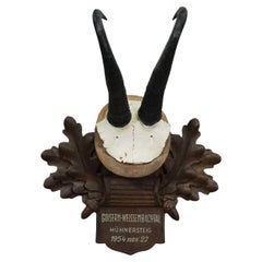 Large Chamois Trophy on Carved Plaque, Austria 1954