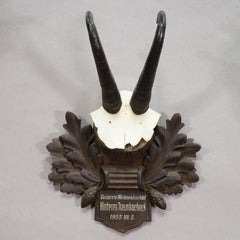 Large Chamois Trophy on Carved Plaque, Austria 1955