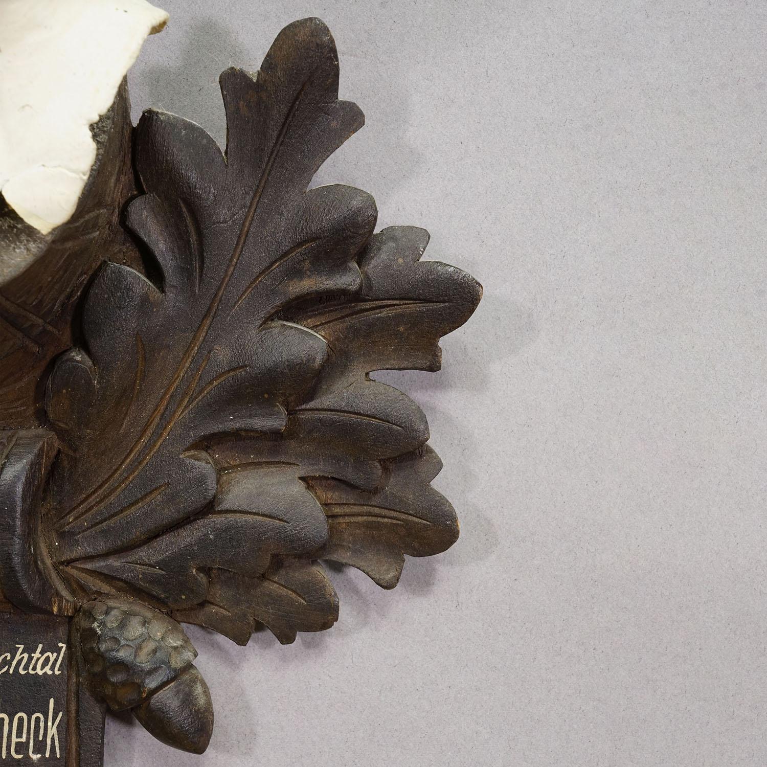 Milieu du XXe siècle Grand trophée Chamois sur plaque sculptée, Autriche 1955 en vente