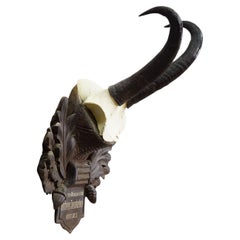 Large Chamois Trophy on Carved Plaque, Austria 1955