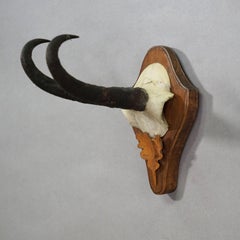 Large Chamois Trophy on Turned Plaque, Austria 1950s