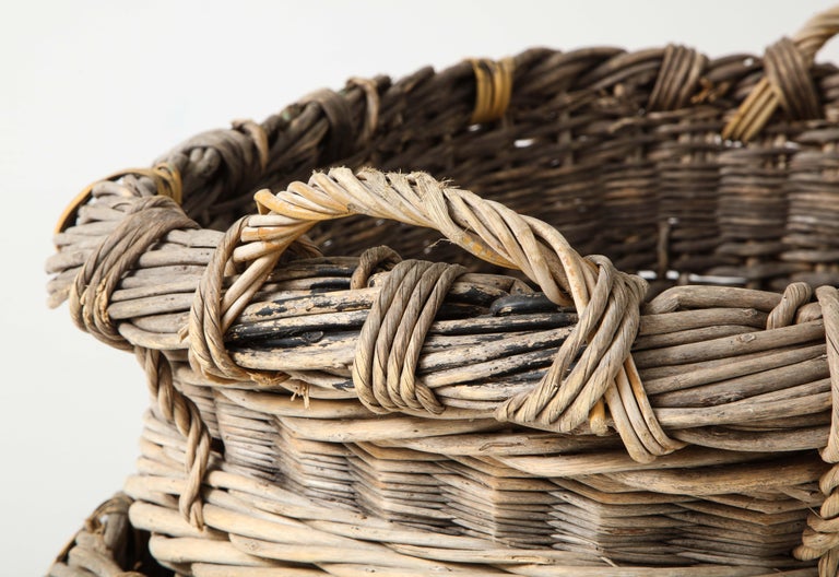 French Large Champagne Grape Harvest Baskets, Reims, France, c. 1920-30 For Sale