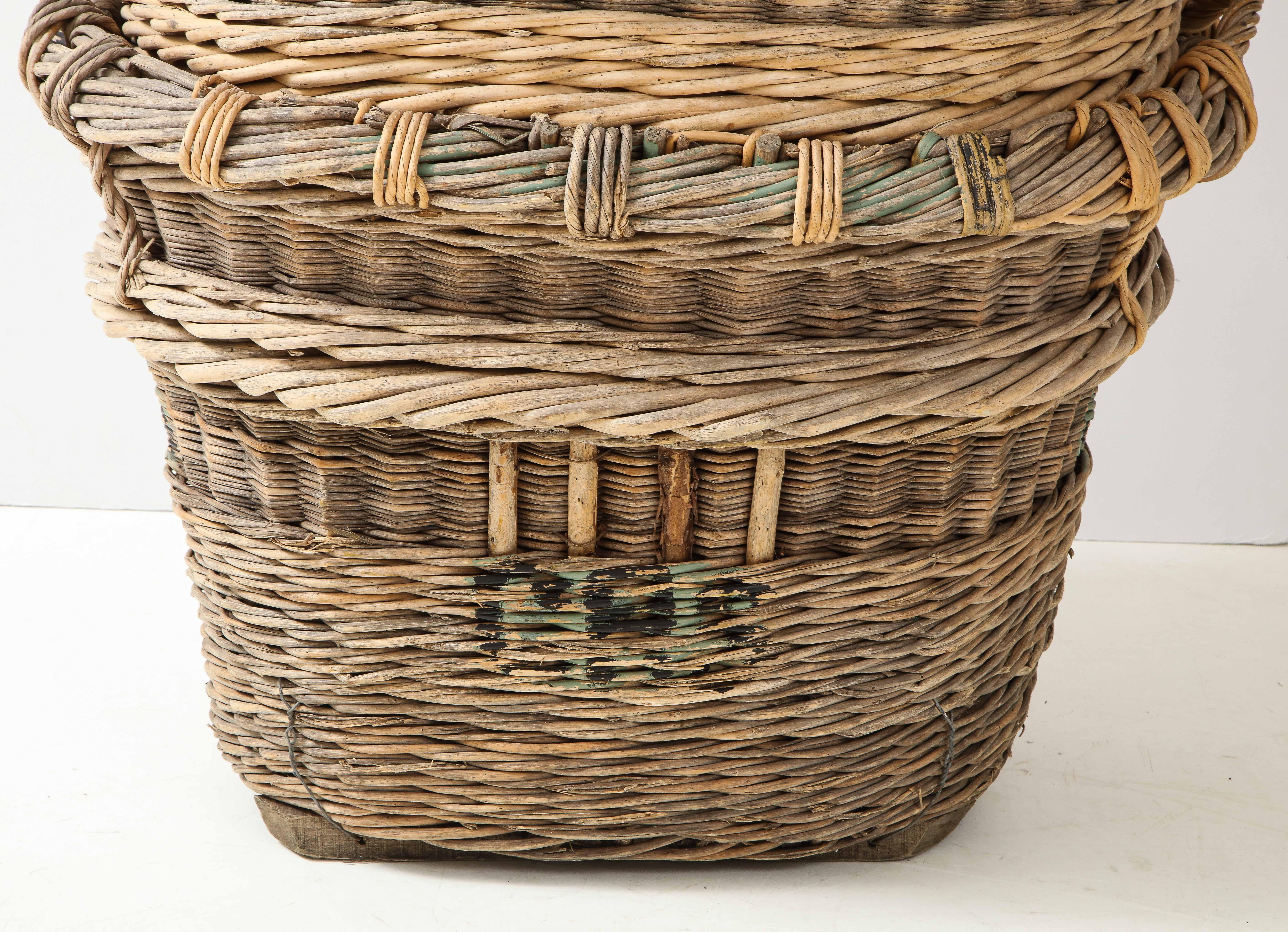French Large Champagne Grape Harvest Baskets, Reims, France, c. 1920-30