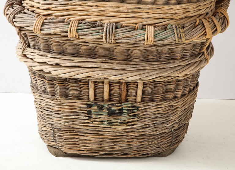 Early 20th Century Large Champagne Grape Harvest Baskets, Reims, France, c. 1920-30 For Sale