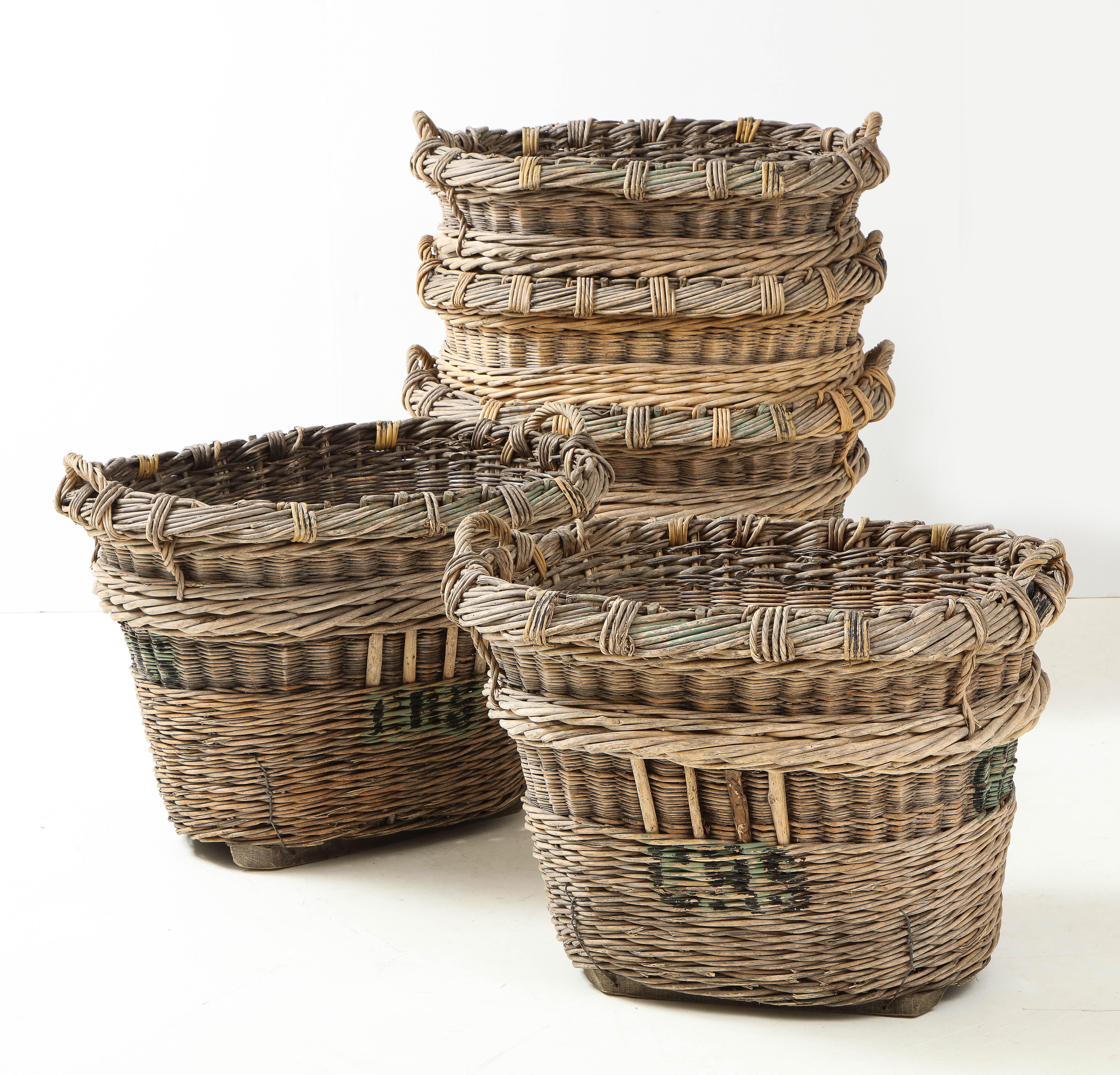 Large Champagne Grape Harvest Baskets, Reims, France, c. 1920-30 In Good Condition In Brooklyn, NY