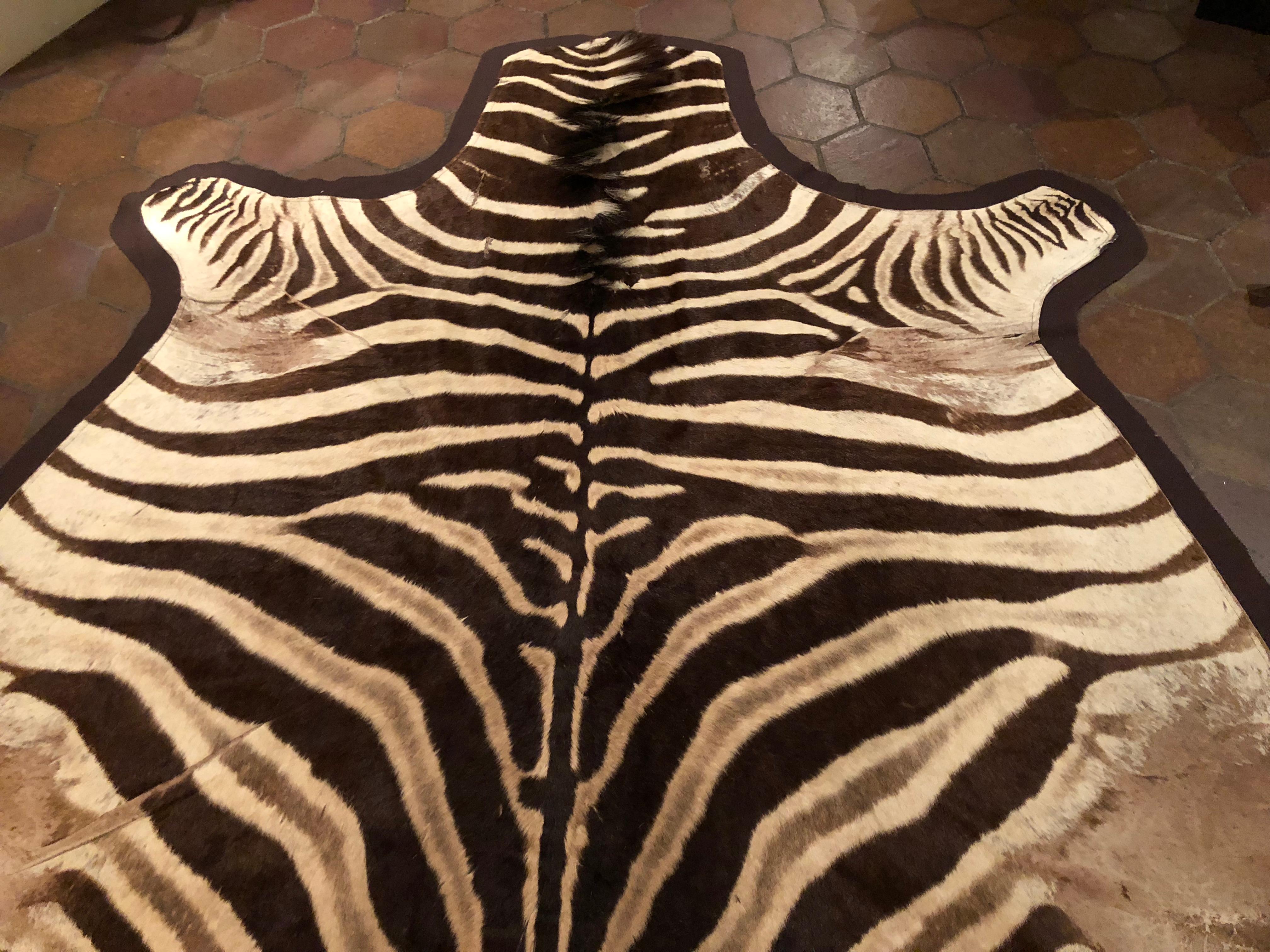Large and Chic Authentic African Burchell Zebra Hide Rug 5