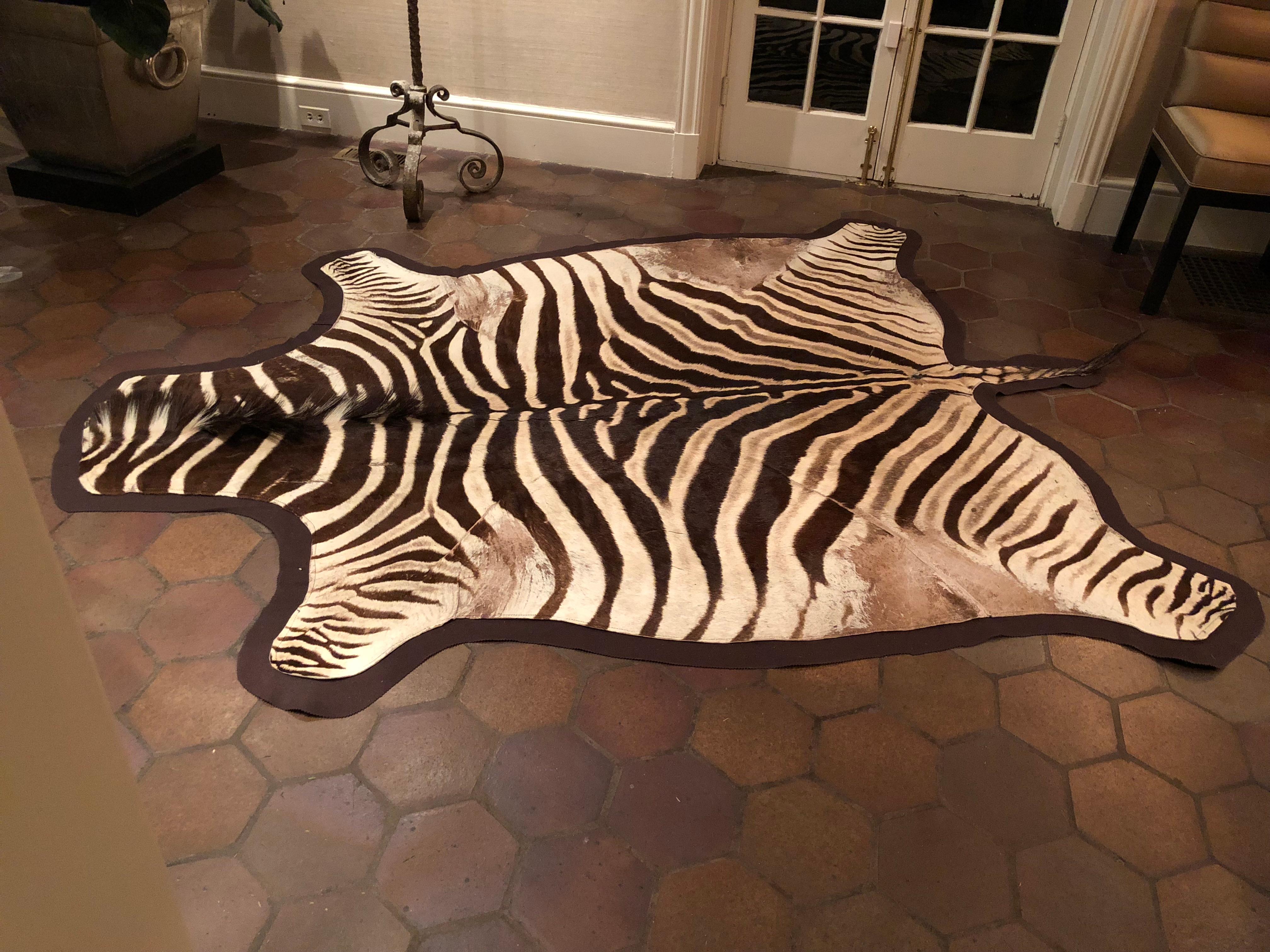 Large and Chic Authentic African Burchell Zebra Hide Rug In Excellent Condition In Hopewell, NJ
