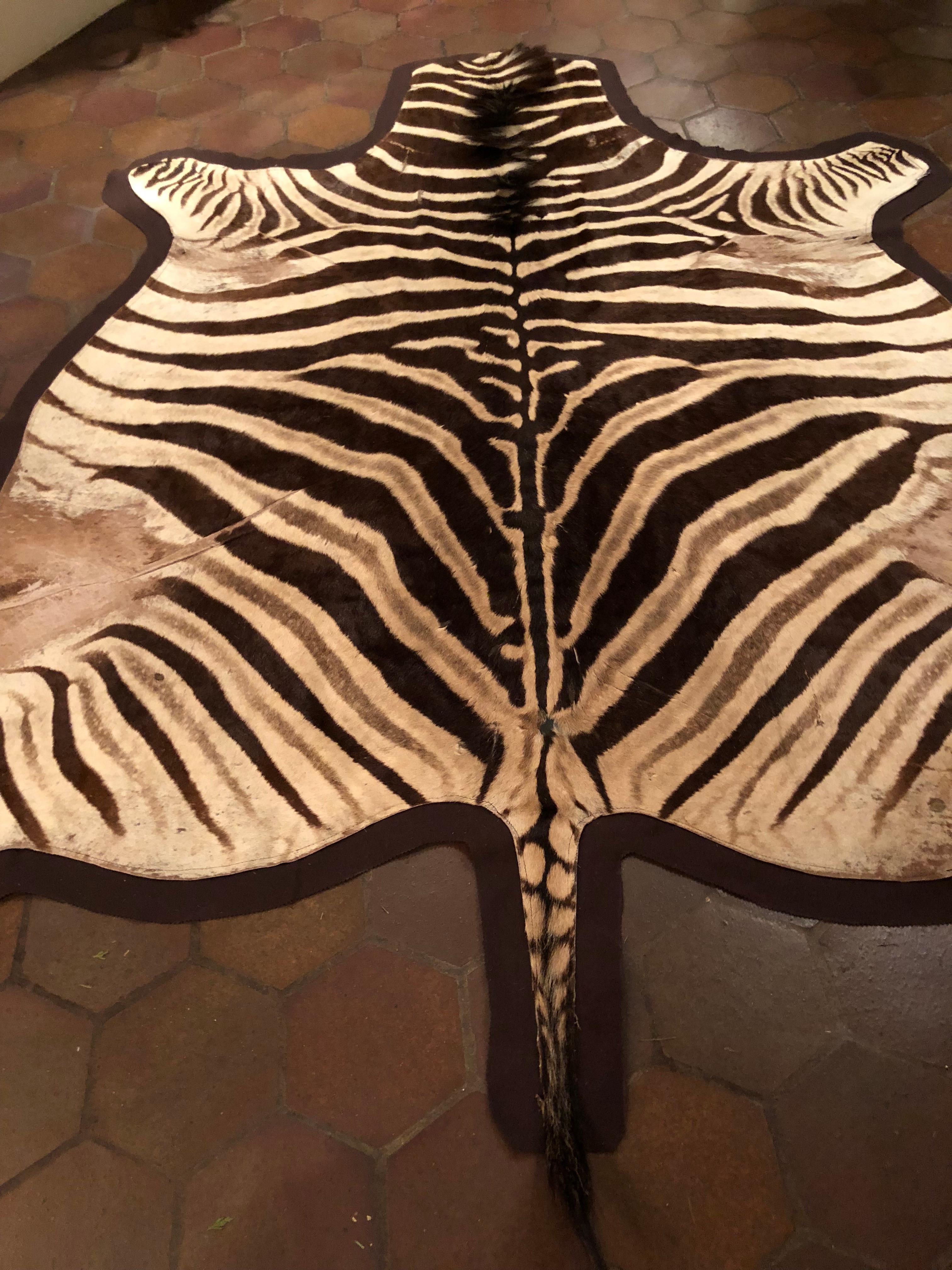 Large and Chic Authentic African Burchell Zebra Hide Rug 1