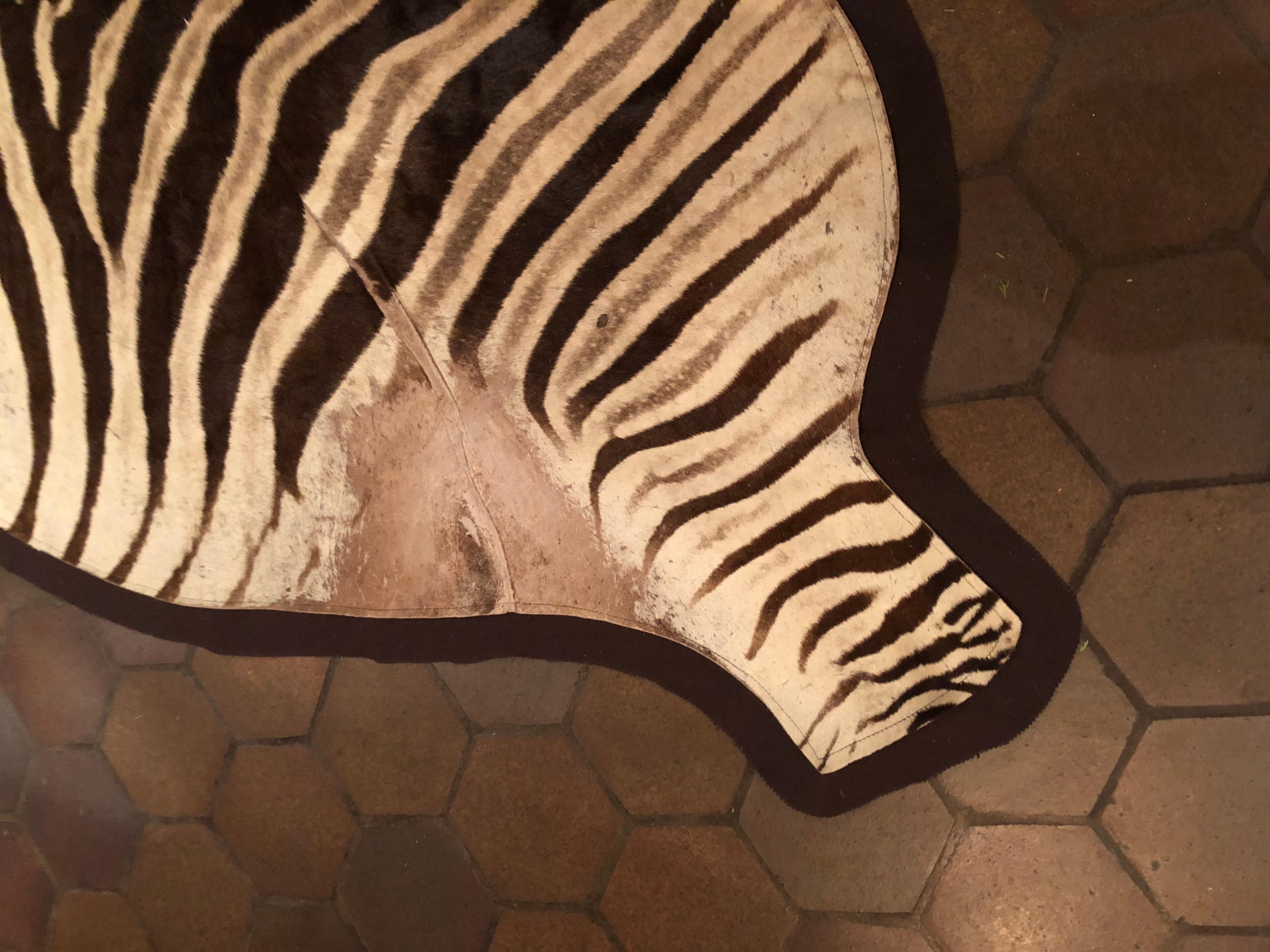 Large and Chic Authentic African Burchell Zebra Hide Rug 2