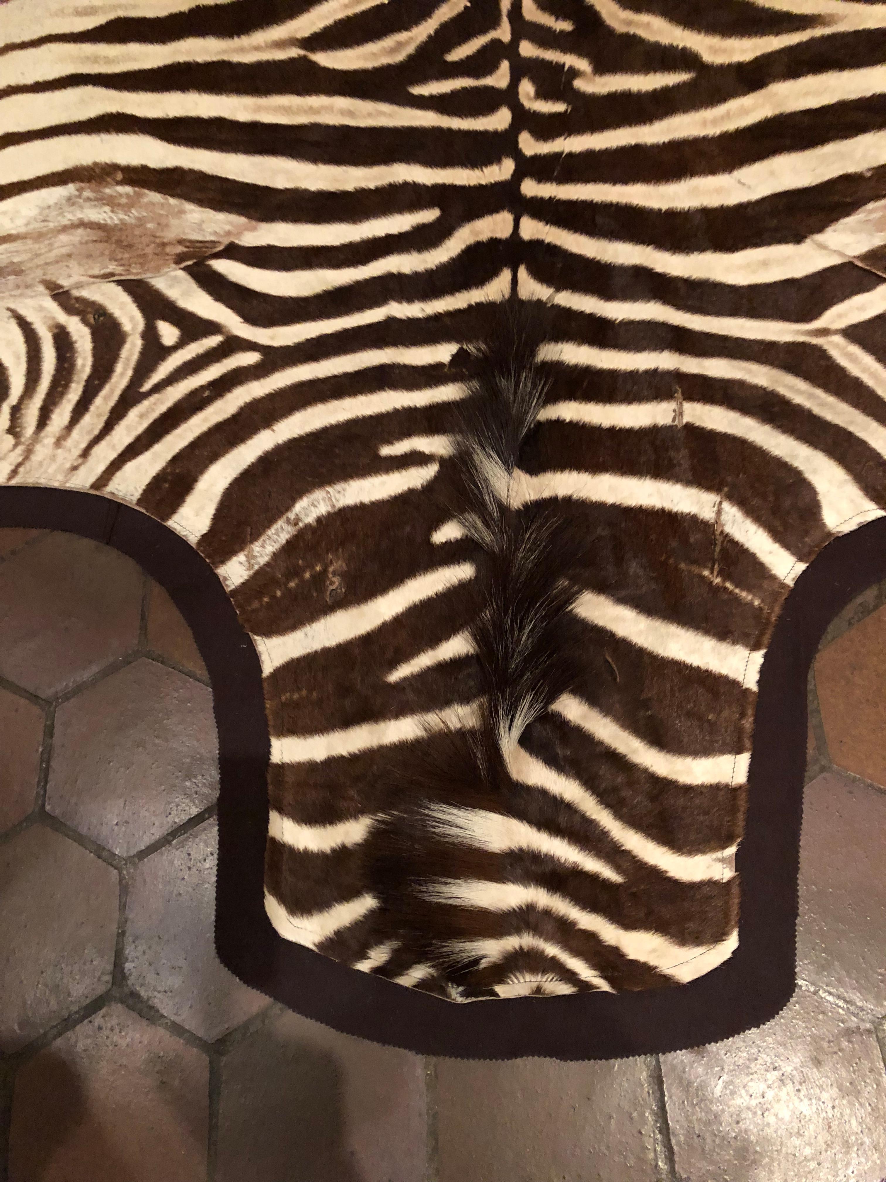 Large and Chic Authentic African Burchell Zebra Hide Rug 4