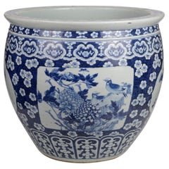 Large Chinese 19th Century Blue and White Jardinière