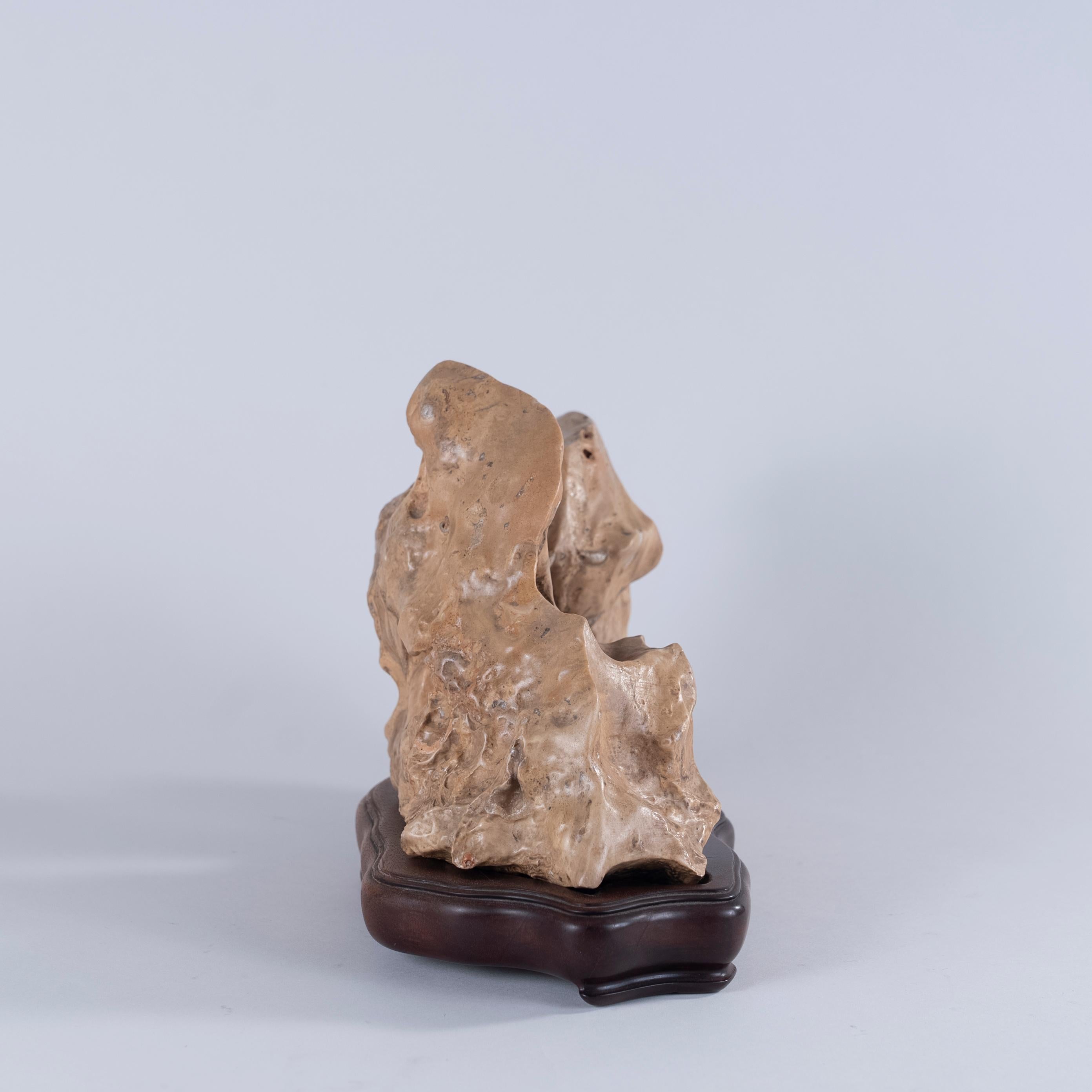Large Chinese Gongshi 'Scholar's Rock' For Sale at 1stDibs bone