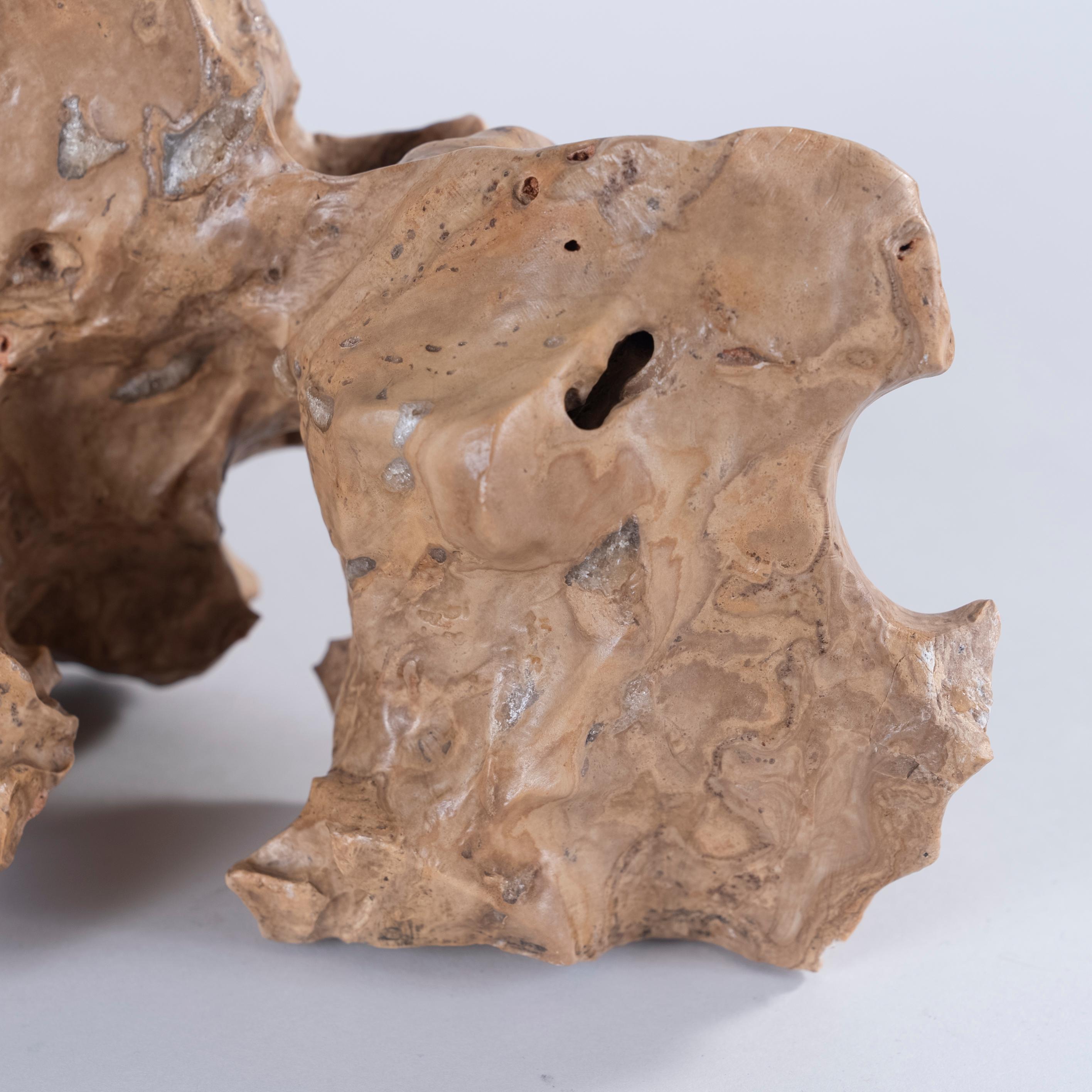 Large Chinese Gongshi 'Scholar's Rock' For Sale at 1stDibs bone