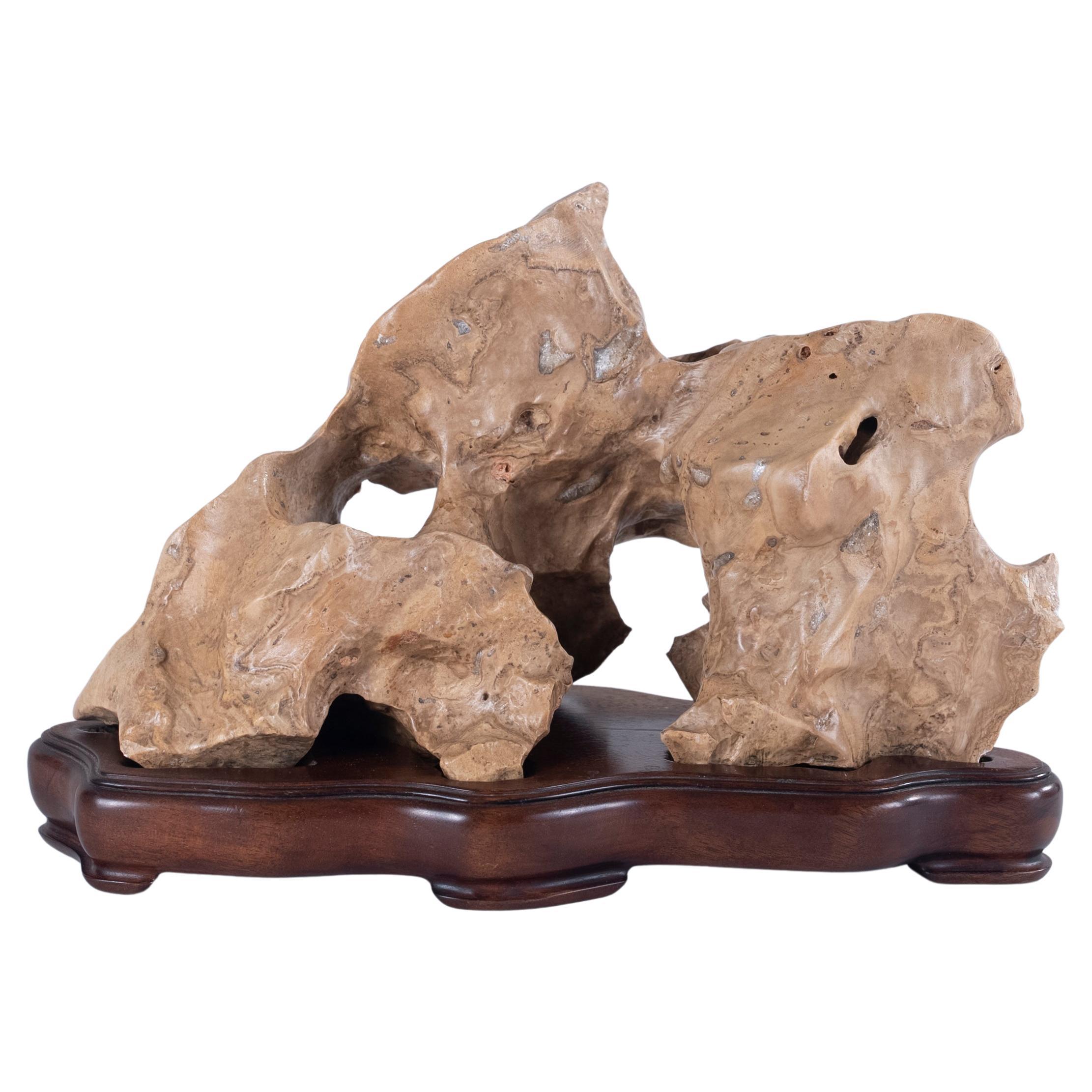Large Chinese Gongshi 'Scholar's Rock' For Sale at 1stDibs bone