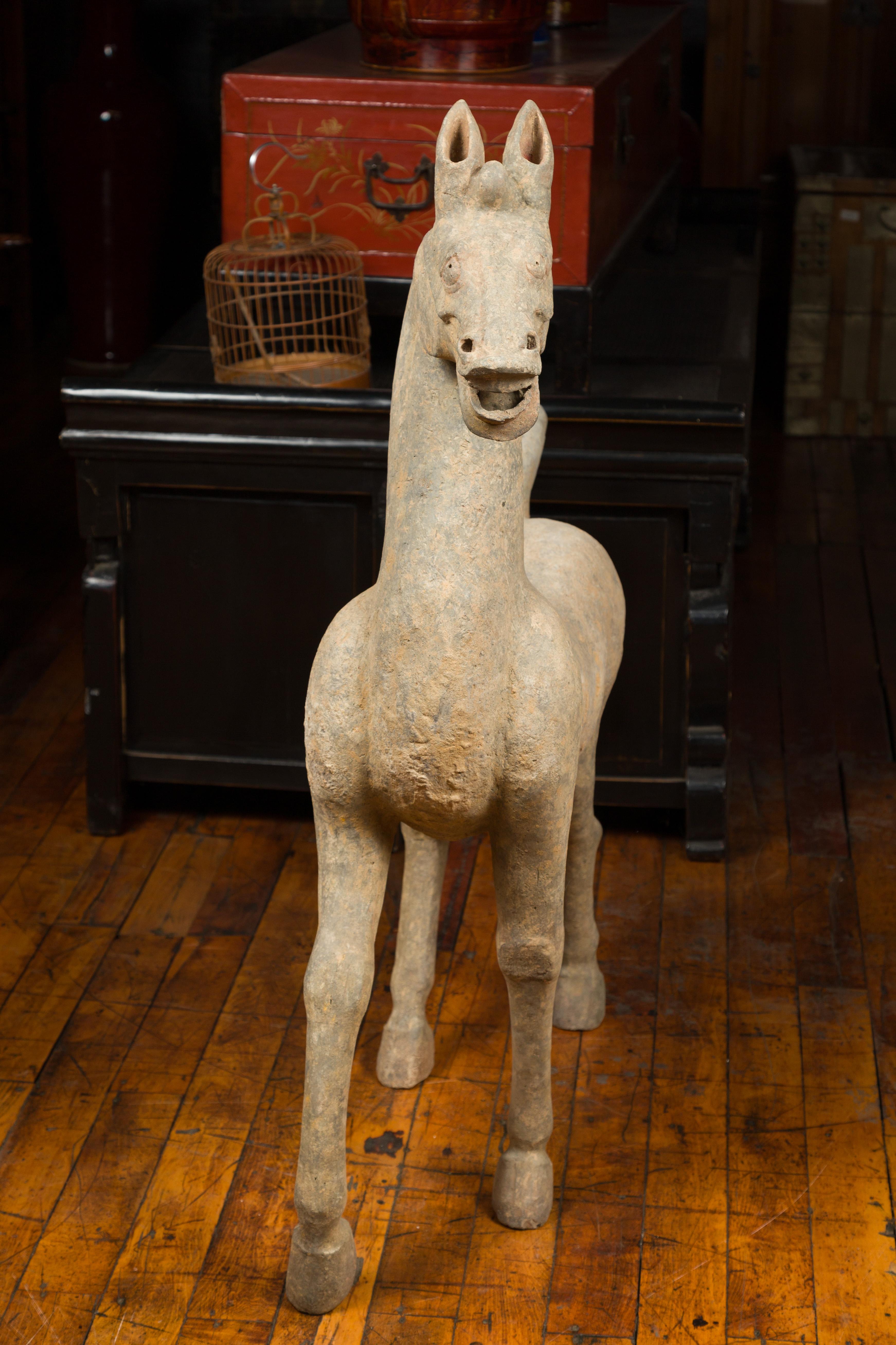 Large Chinese Han Dynasty Period Terracotta Walking Horse, circa 202 BC-200 AD 6