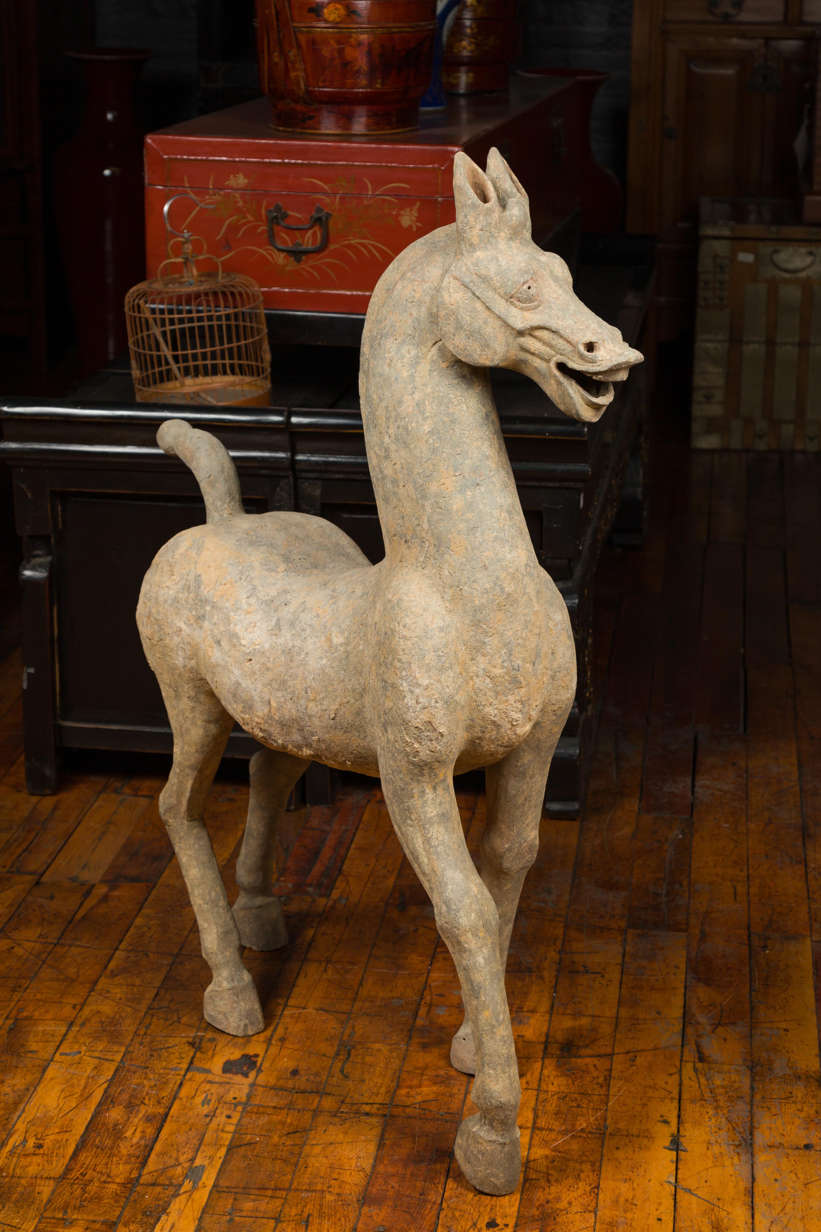 Large Chinese Han Dynasty Period Terracotta Walking Horse, circa 202 BC-200 AD 7