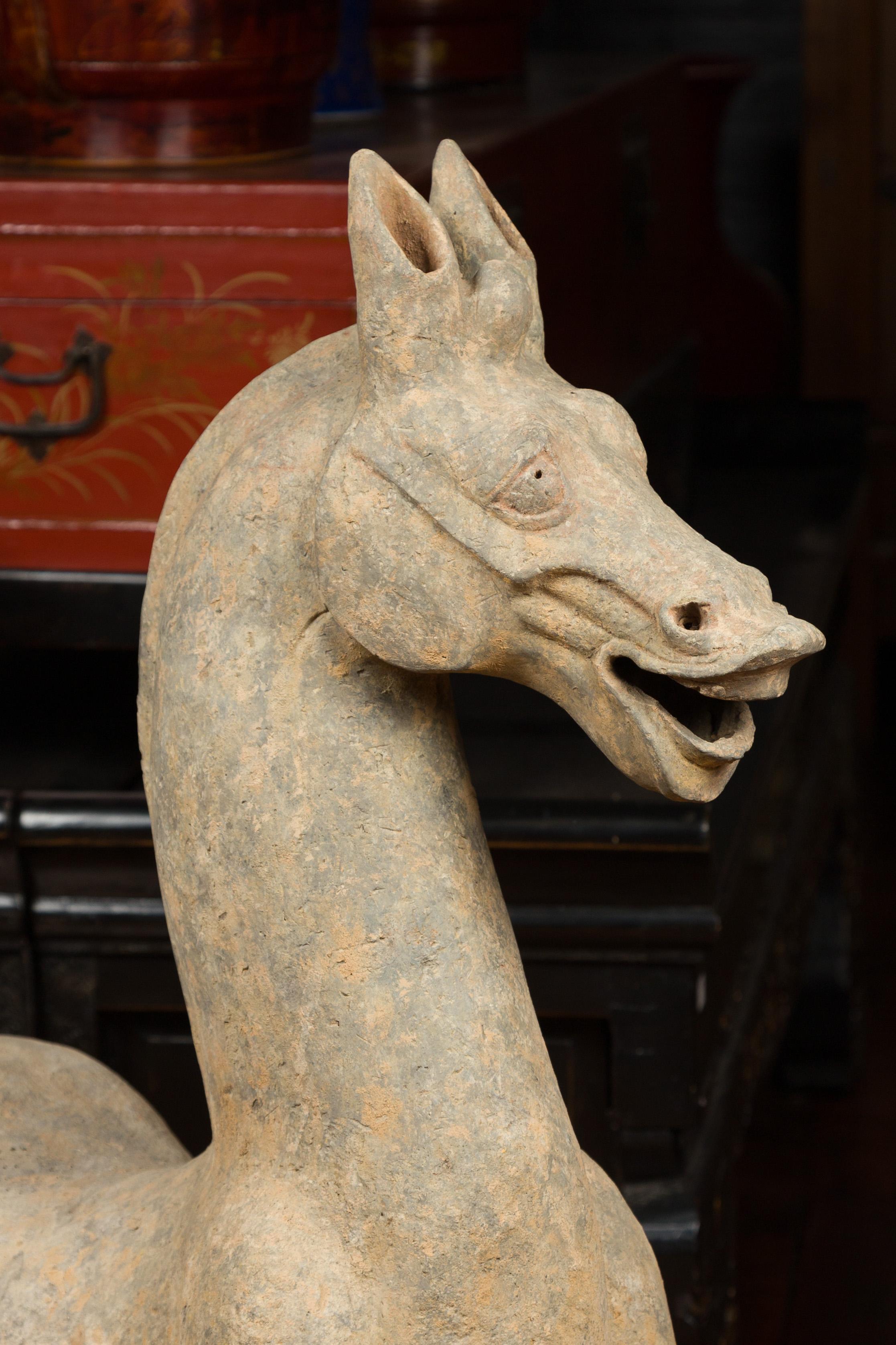Large Chinese Han Dynasty Period Terracotta Walking Horse, circa 202 BC-200 AD 8
