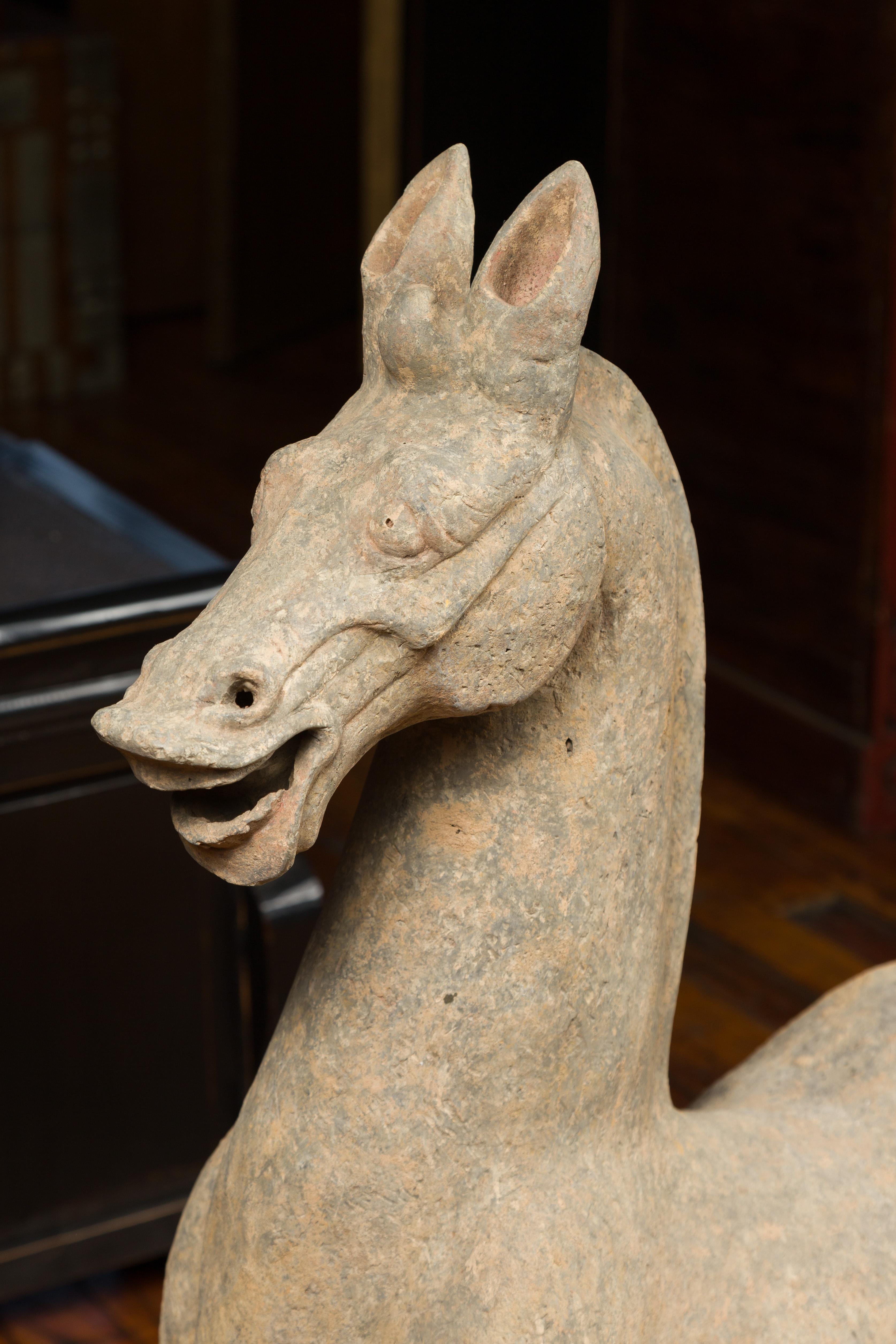 Large Chinese Han Dynasty Period Terracotta Walking Horse, circa 202 BC-200 AD 1