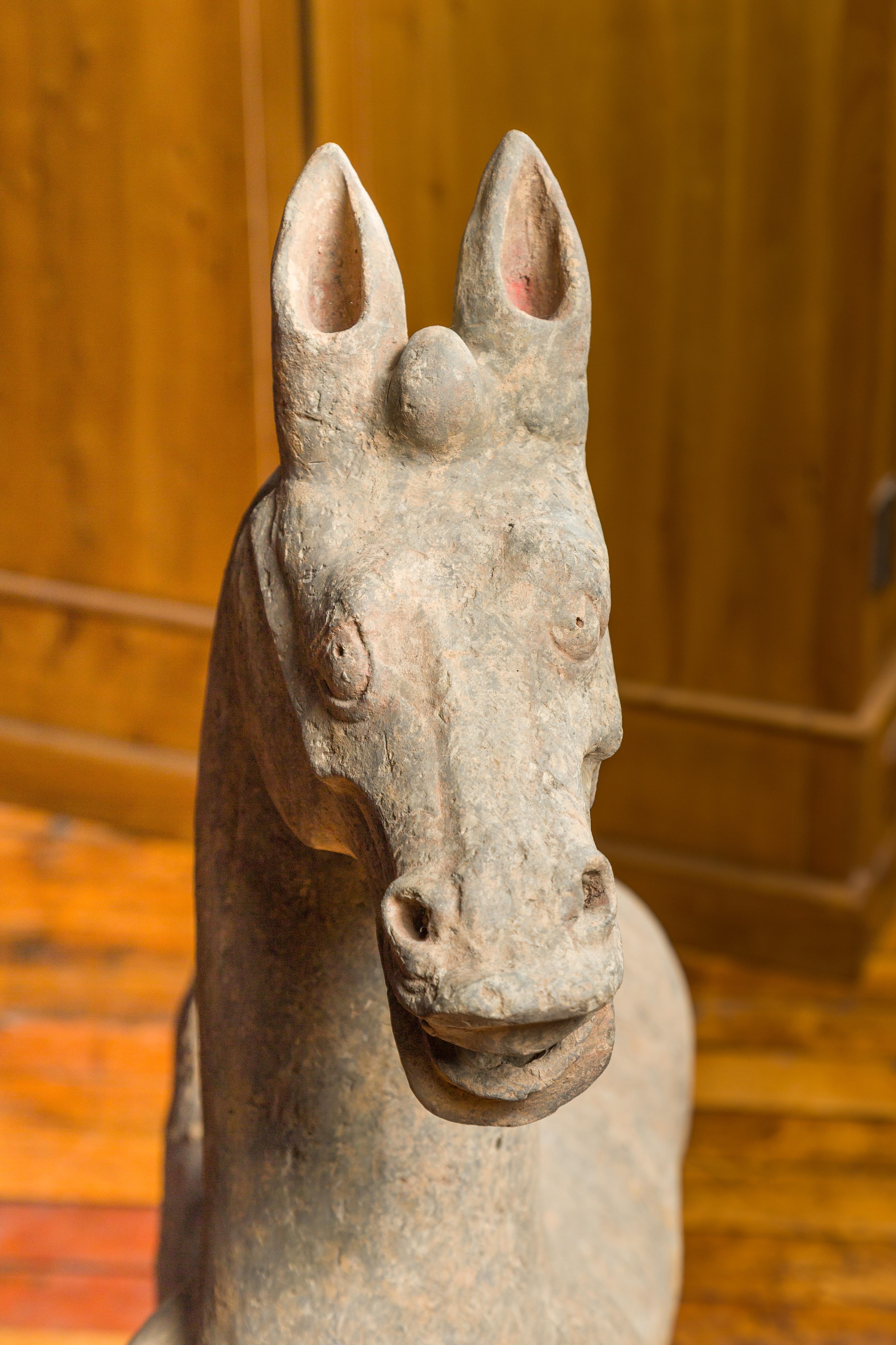 Large Chinese Han Dynasty Period Terracotta Walking Horse, circa 202 BC-200 AD 3