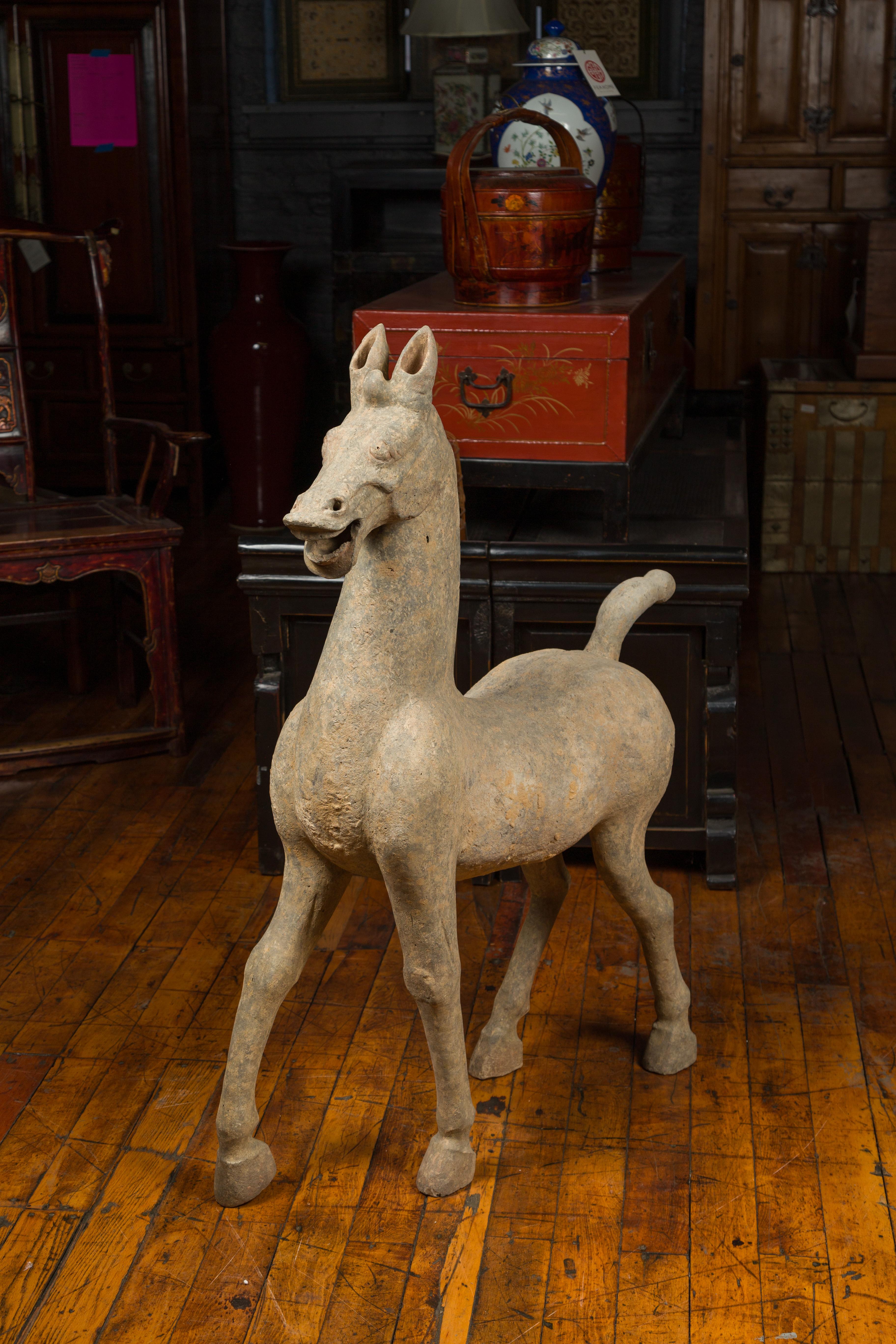 Large Chinese Han Dynasty Period Terracotta Walking Horse, circa 202 BC-200 AD 4