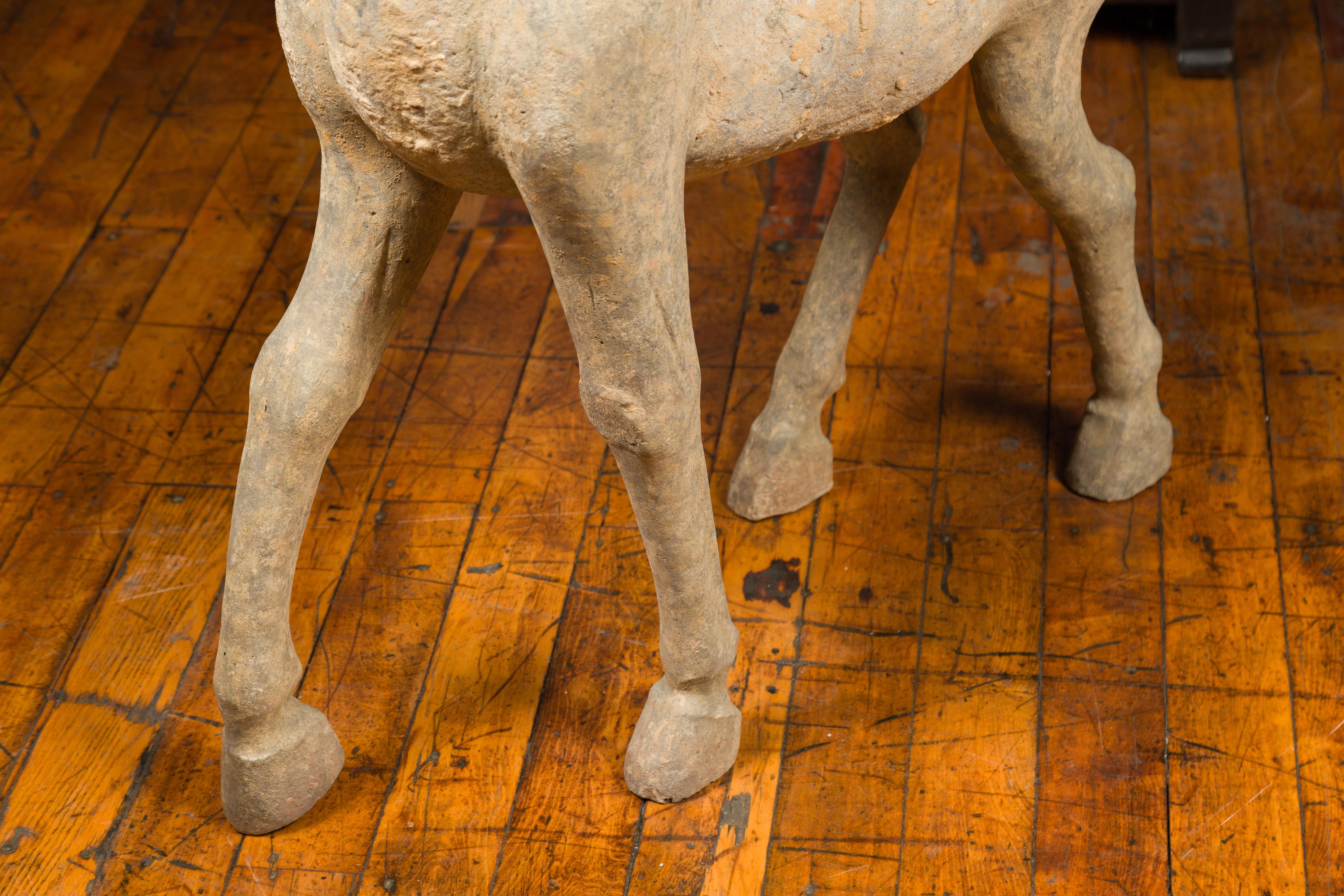 Large Chinese Han Dynasty Period Terracotta Walking Horse, circa 202 BC-200 AD 5