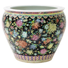 Decorative Objects