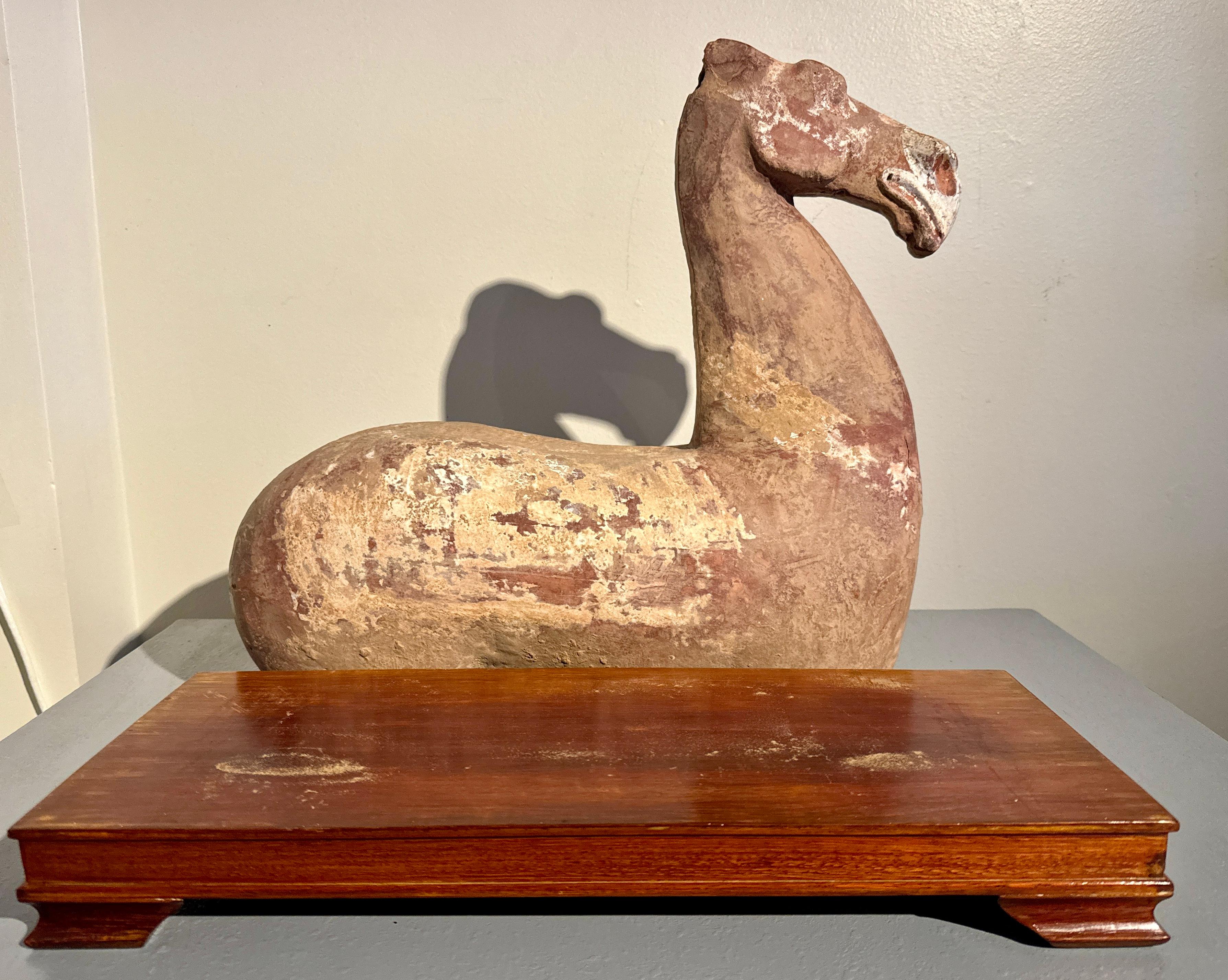 Grand torse de cheval en poterie chinoise peinte, dynastie Han, Chine en vente 8