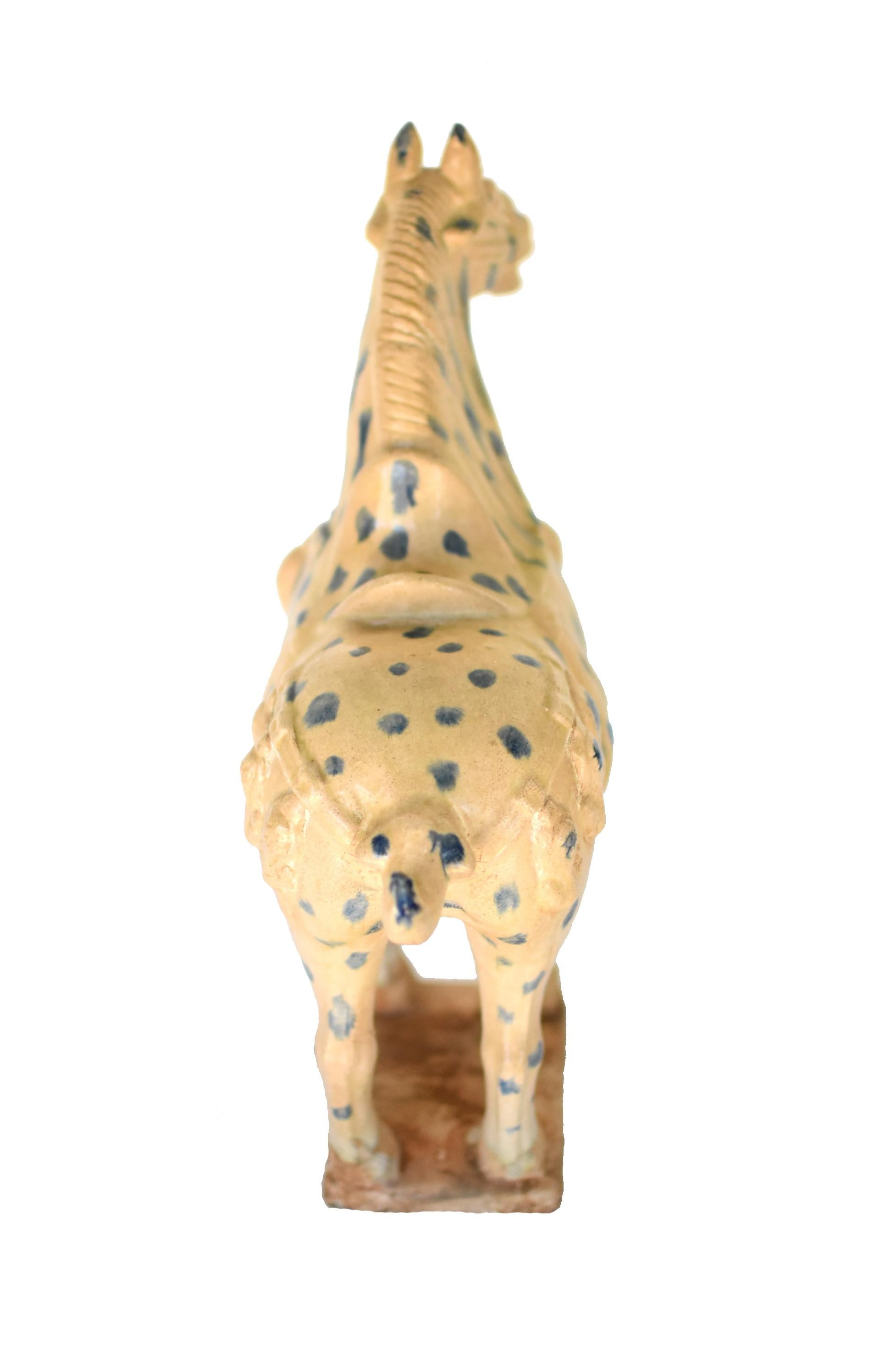 Large Chinese Pottery Stallion Horse, with Blue Spots 9