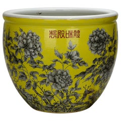 Grande jardiniere in porcellana cinese Qing a smaltatura gialla e fiori neri