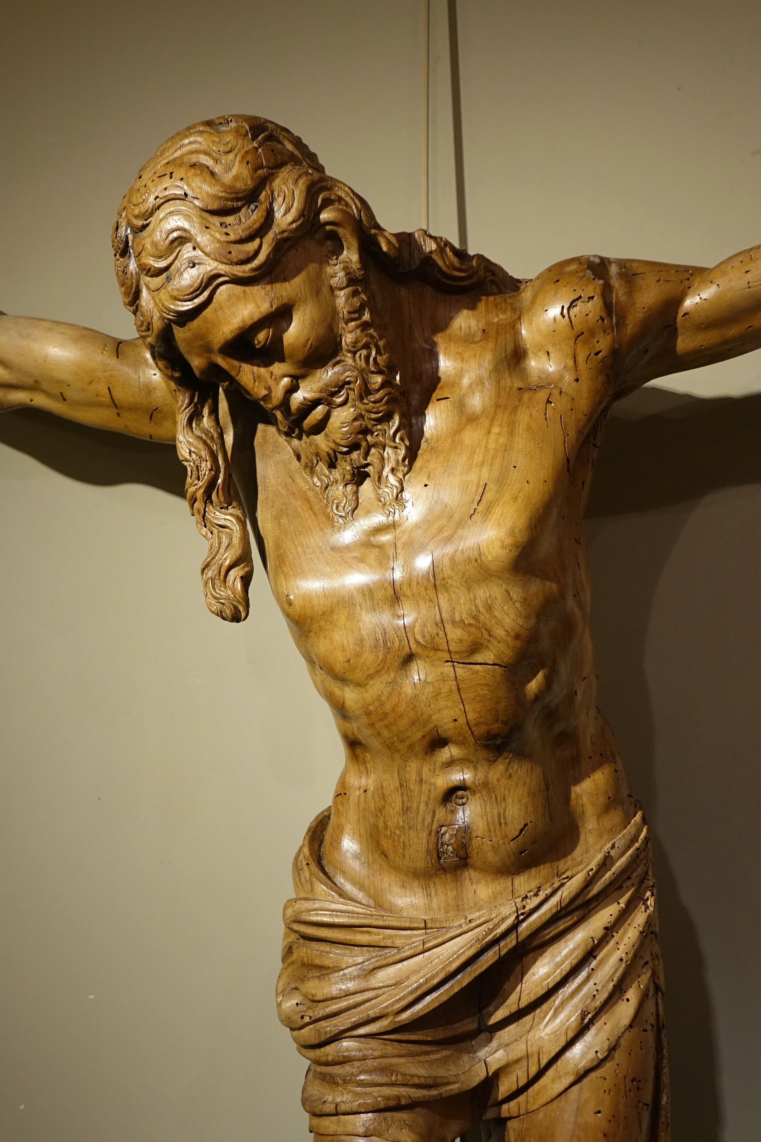Großer Christus am Kreuz, geschnitzt in der Runde in Nussbaumholz.
Mit großem Realismus hat der Bildhauer die Holzmaserung auf der Büste und die Form der Beine hervorgehoben.
Der rechte Teil des Haares fällt herab und wird von den Schultern