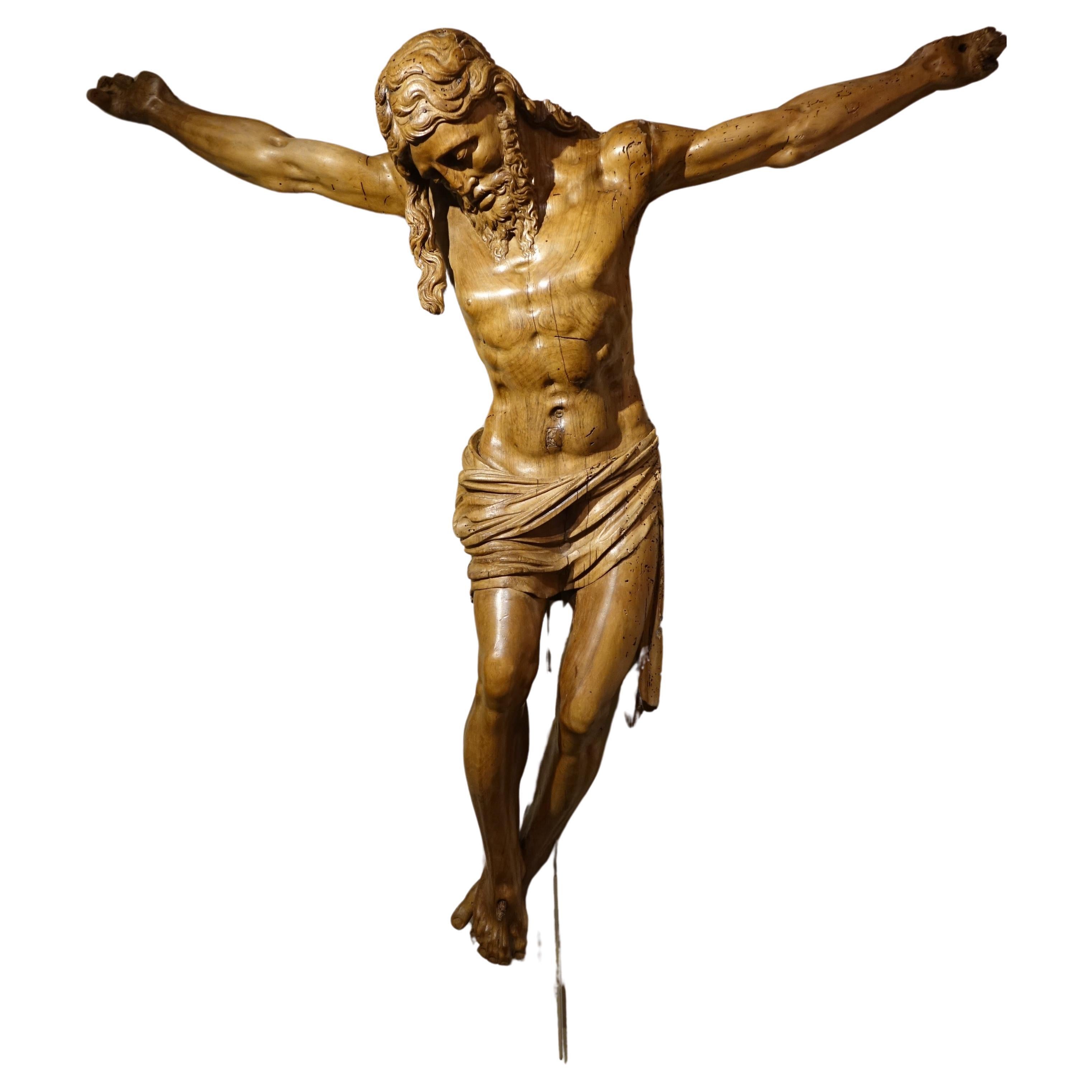 Large Christ in walnut wood , France 17th or 18th century For Sale