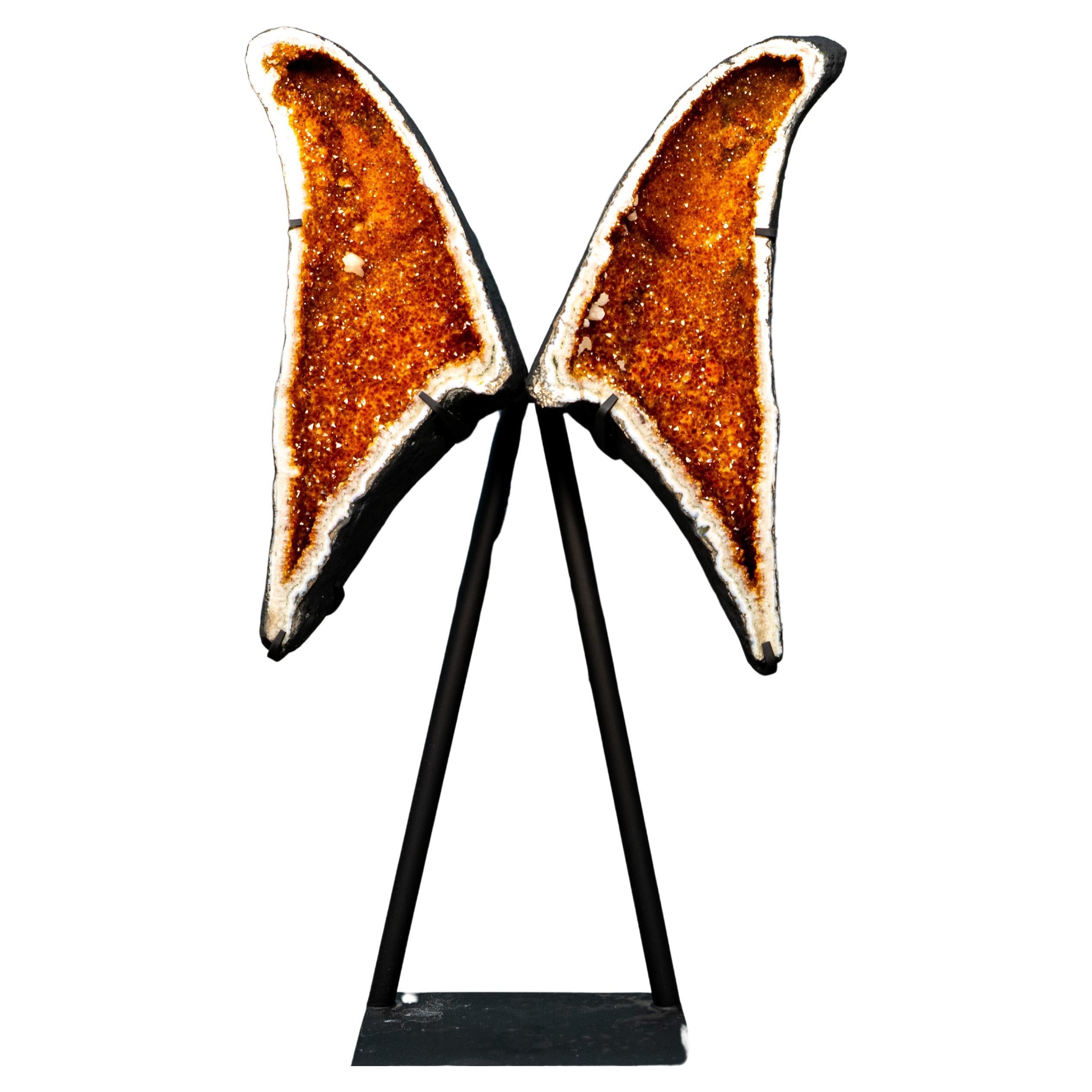 Large Citrine Butterfly Geode with Deep Orange Druzy For Sale