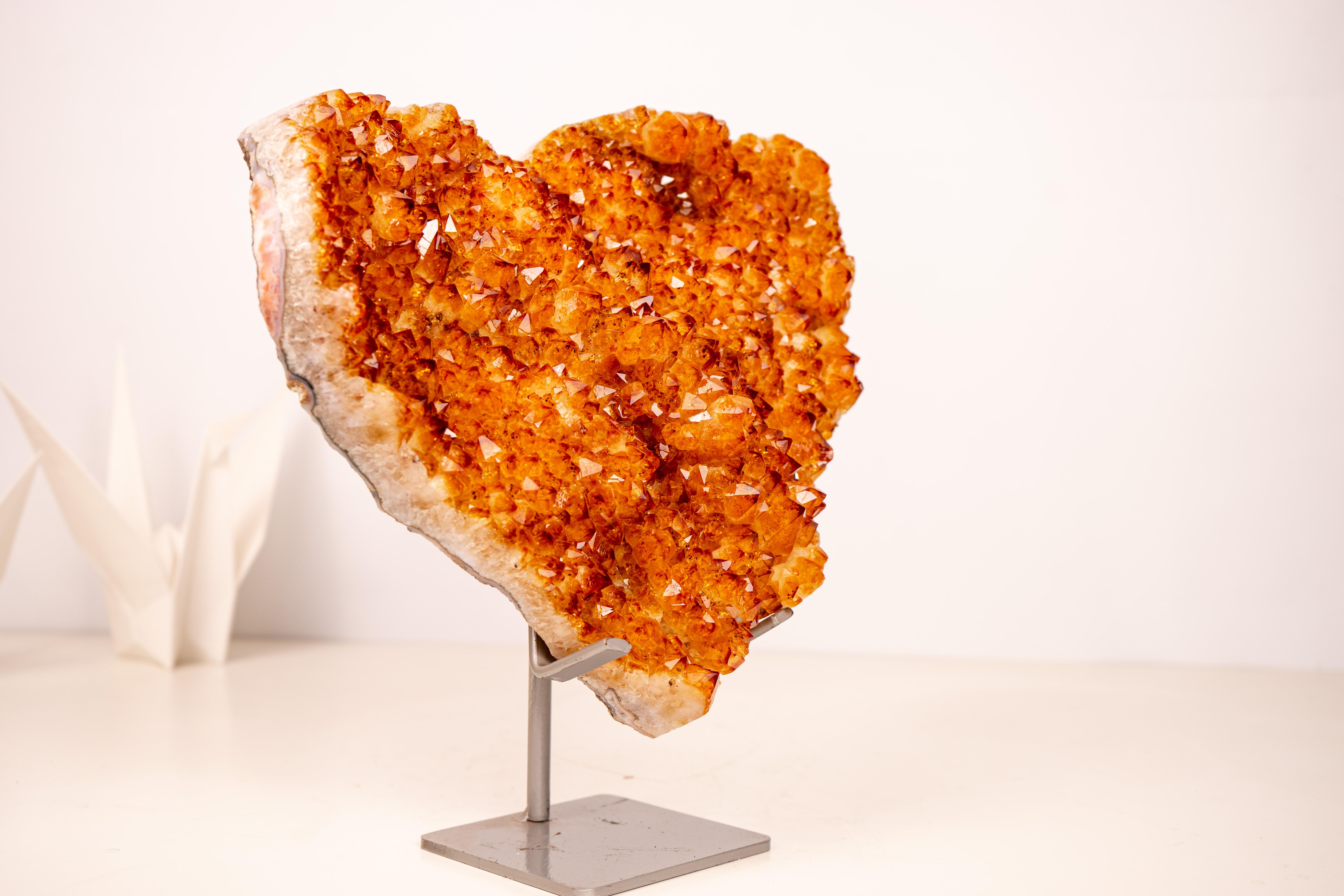 Brasiliano Cuore grande di cristallo citrino, esemplare naturale di 11