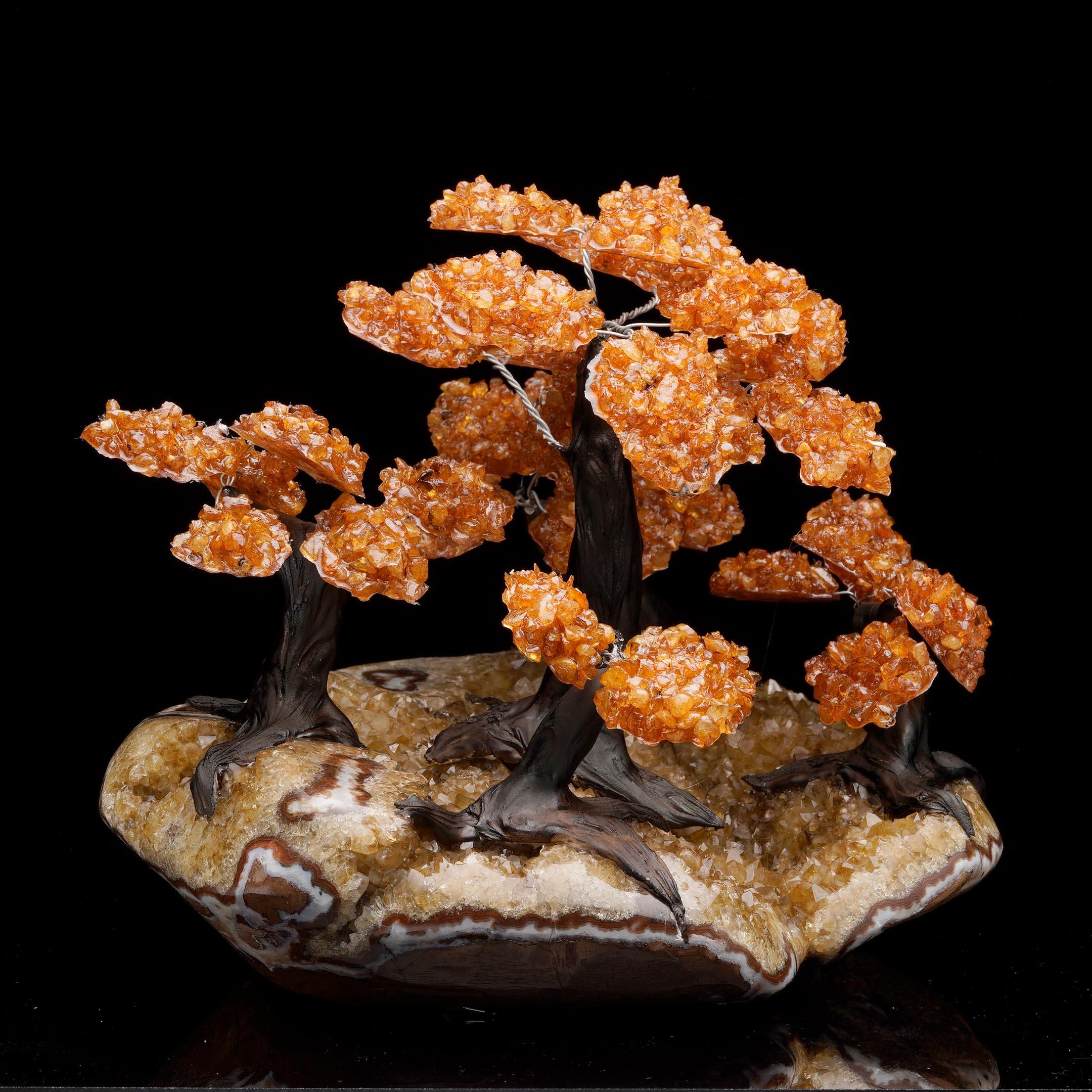 Árbol grande de gemas de citrino sobre base de racimo de citrino Siglo XXI y contemporáneo en venta