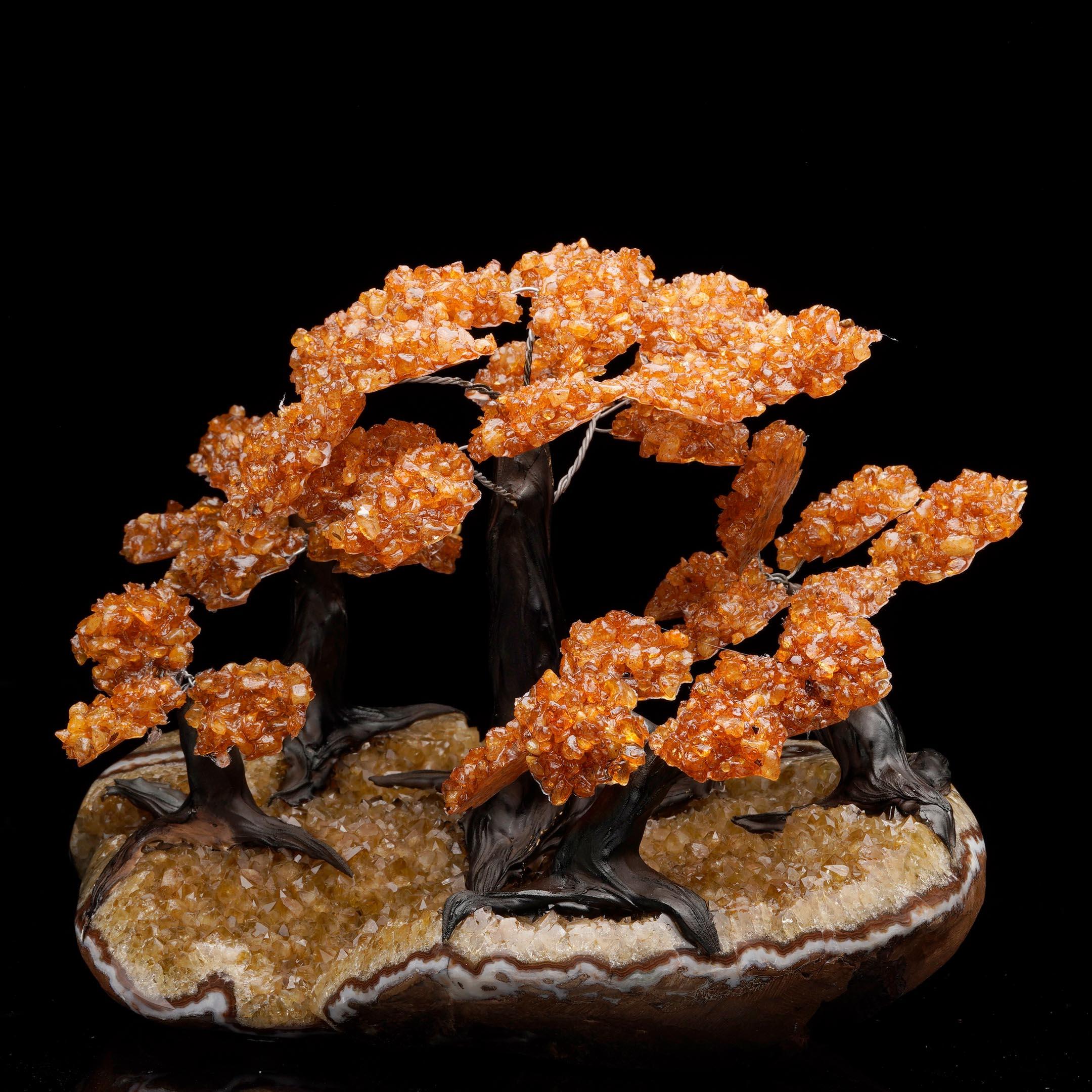 Árbol grande de gemas de citrino sobre base de racimo de citrino Cuarzo en venta